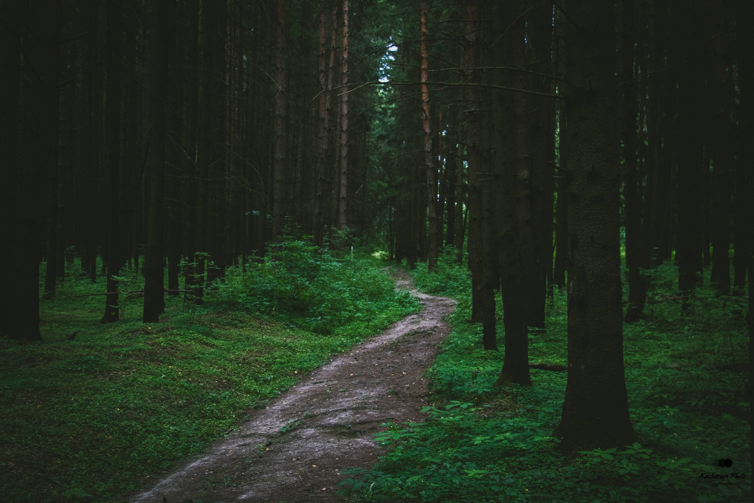 Пейзажи и природа. Photographer K.A.D