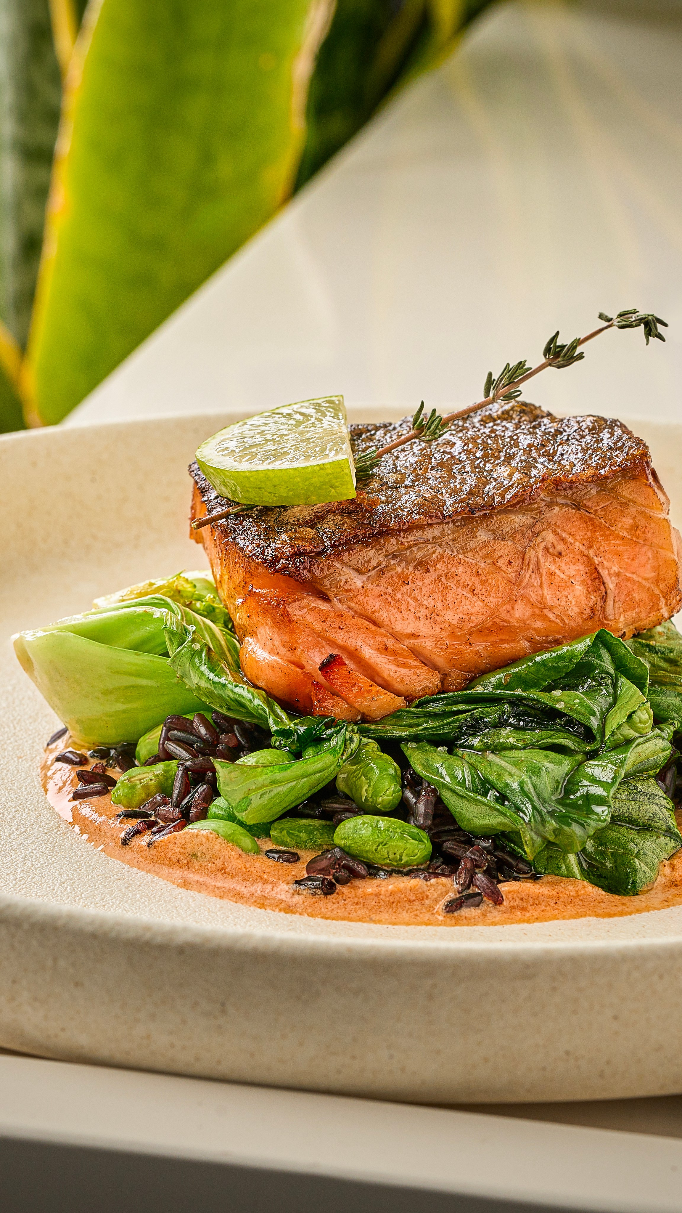 Меню и бар. Cheese Food Photo — Предметная и фуд фотосъёмка в Белгороде