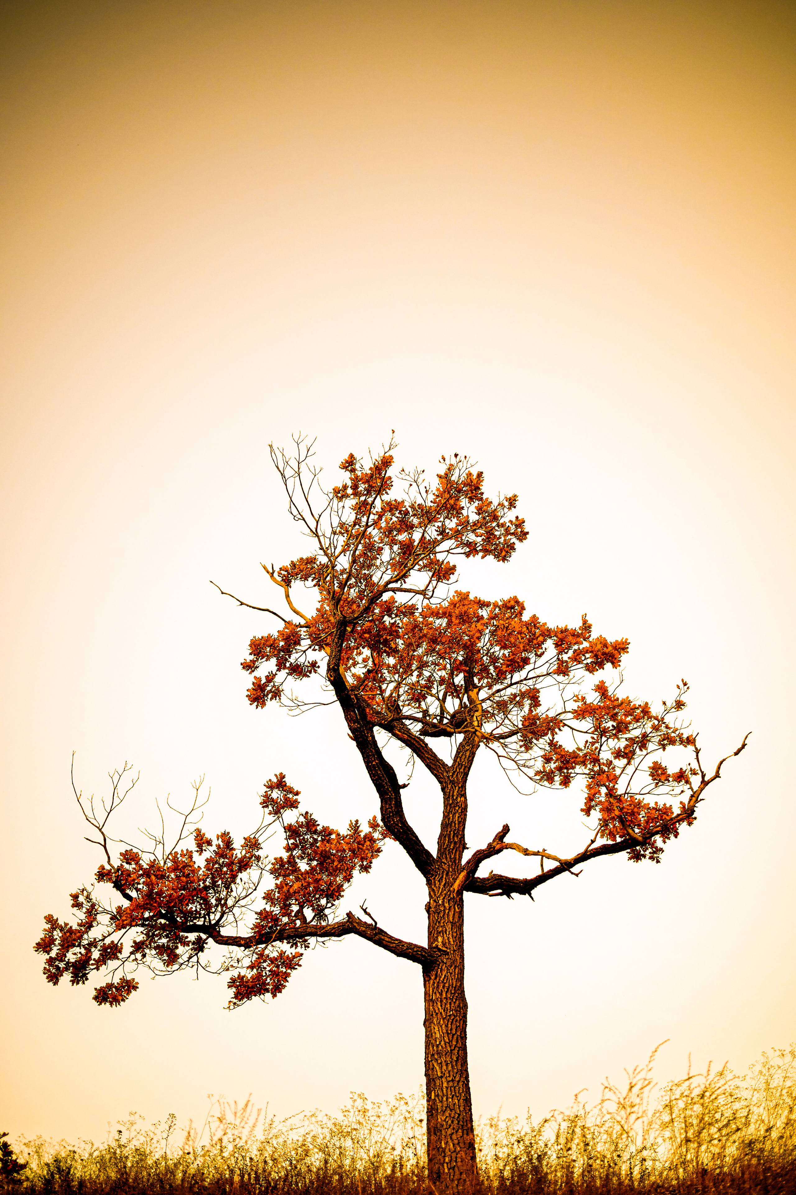 Street. Профессиональный репортажный фотограф в Самаре Никита Королев