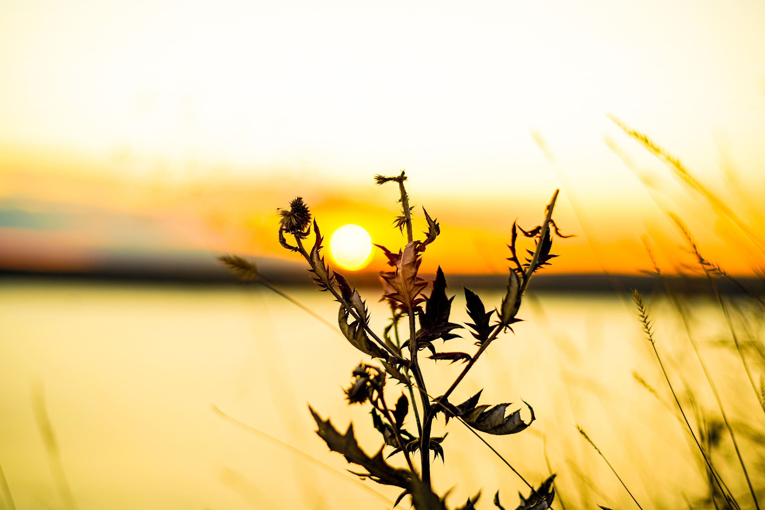 Street. Профессиональный репортажный фотограф в Самаре Никита Королев