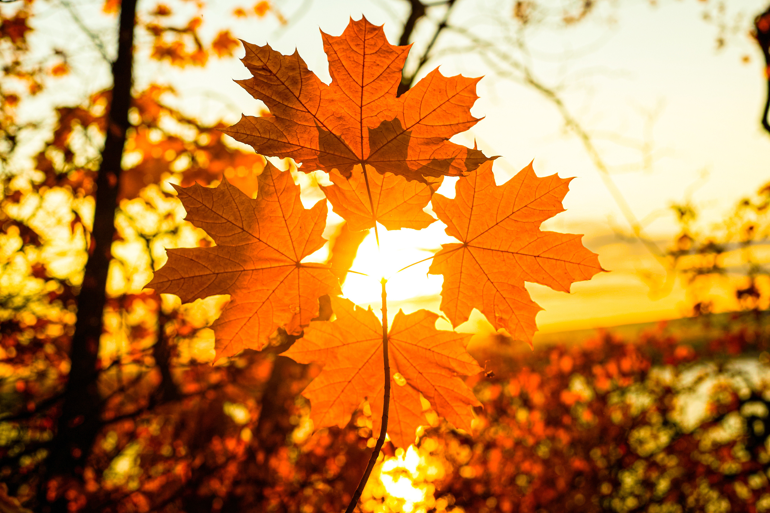 Street. Профессиональный репортажный фотограф в Самаре Никита Королев