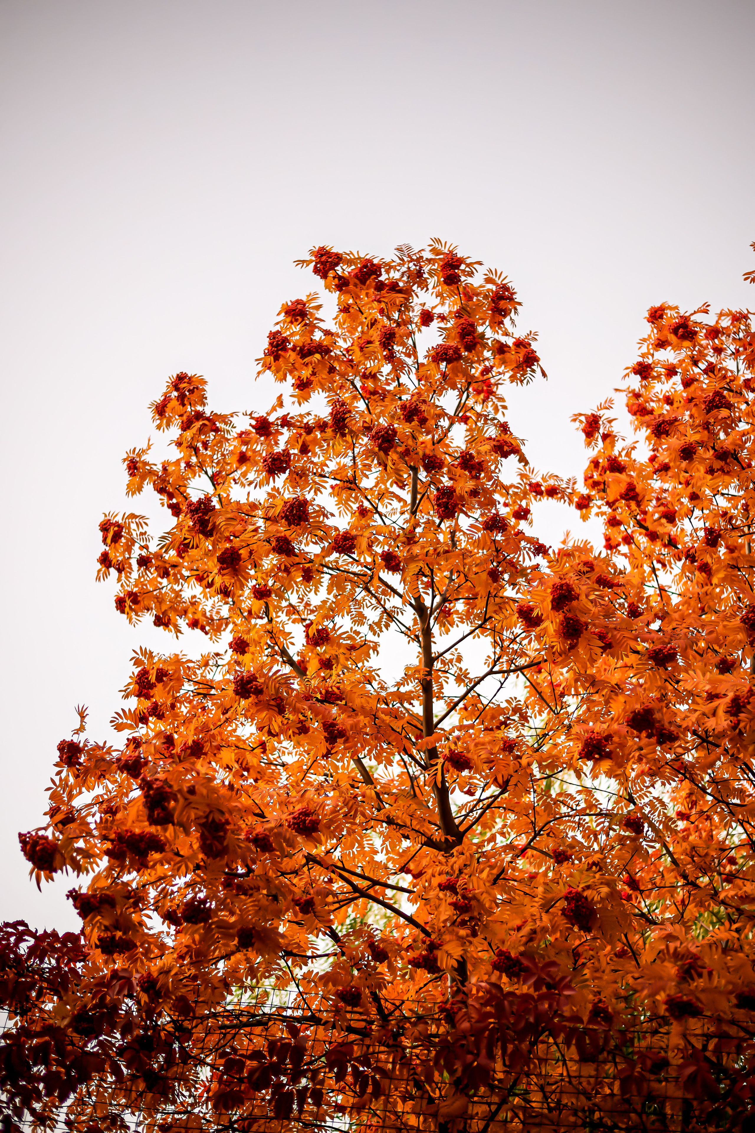 Street. Профессиональный репортажный фотограф в Самаре Никита Королев