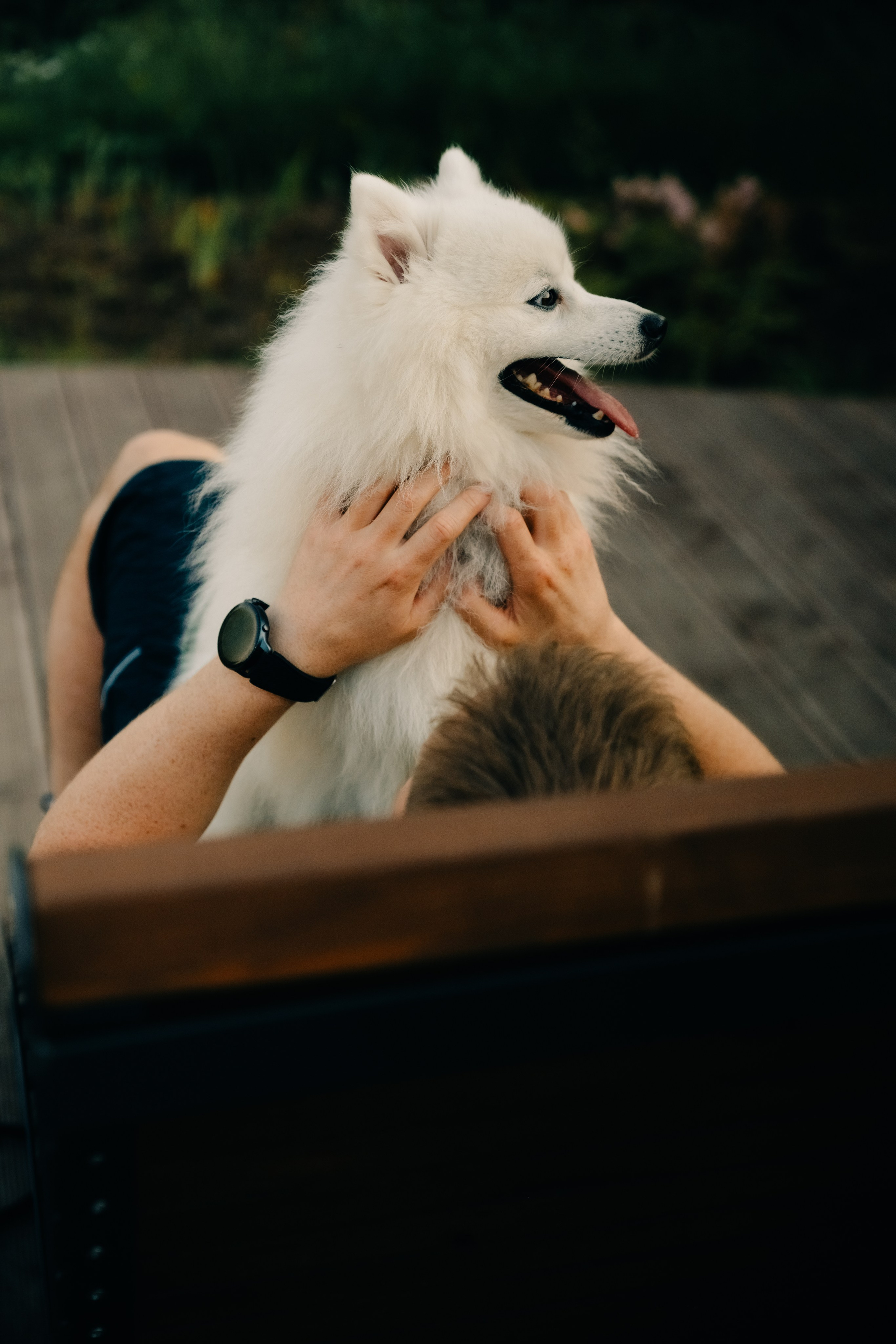 Зоопарк в моём багаже. Кошенкова Мария: портретный и репортажный фотограф. Санкт-Петербург