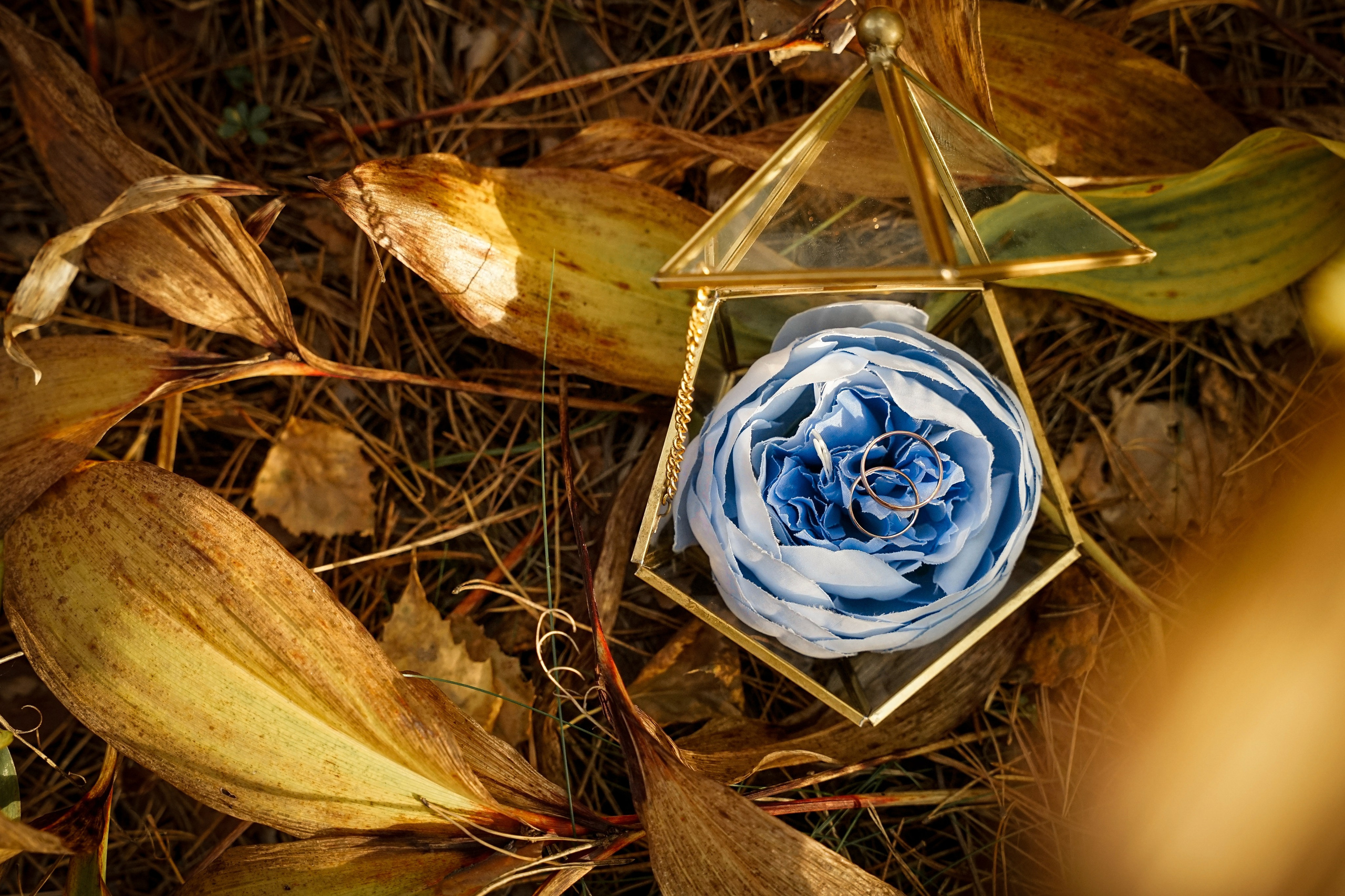 Свадебная прогулка в парке Екатеринбурга