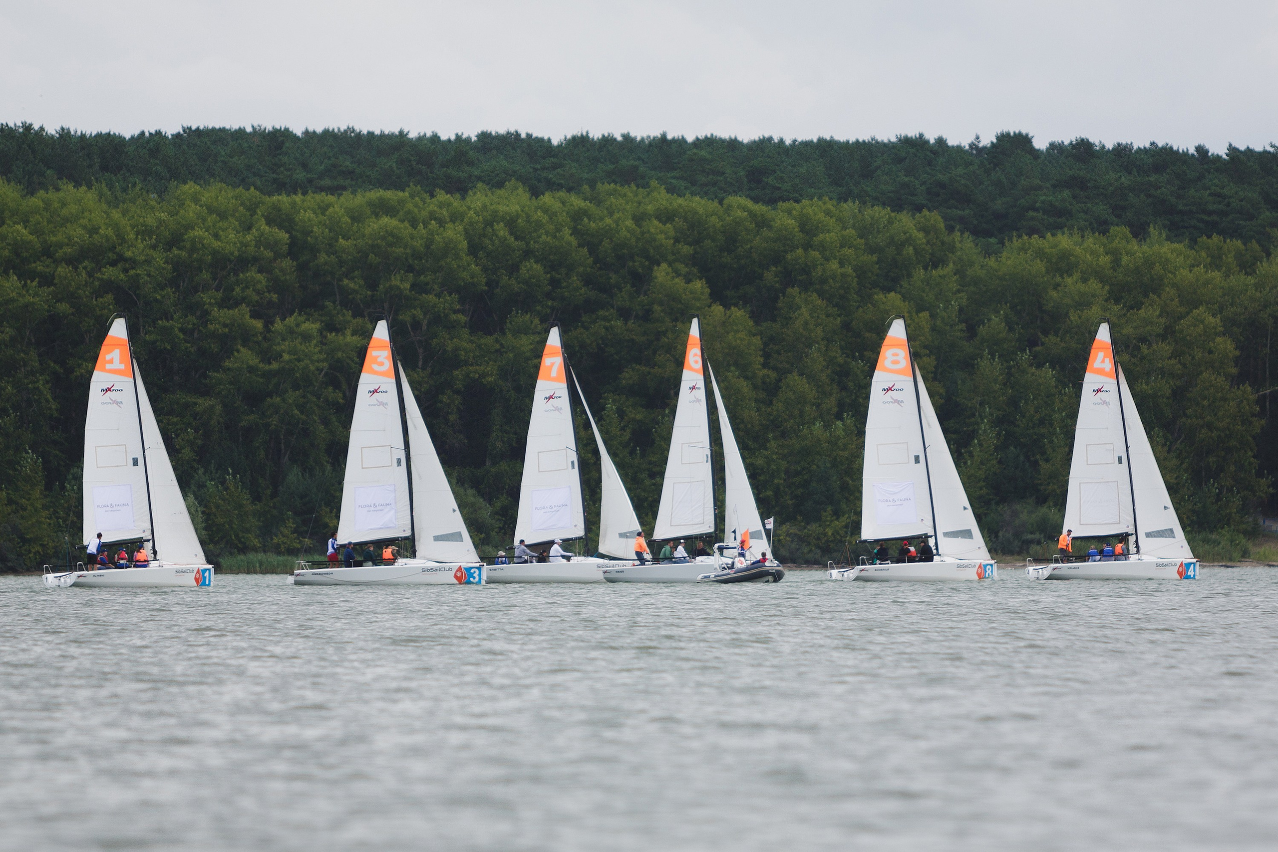 ЯХТИНГ. Roman Photo