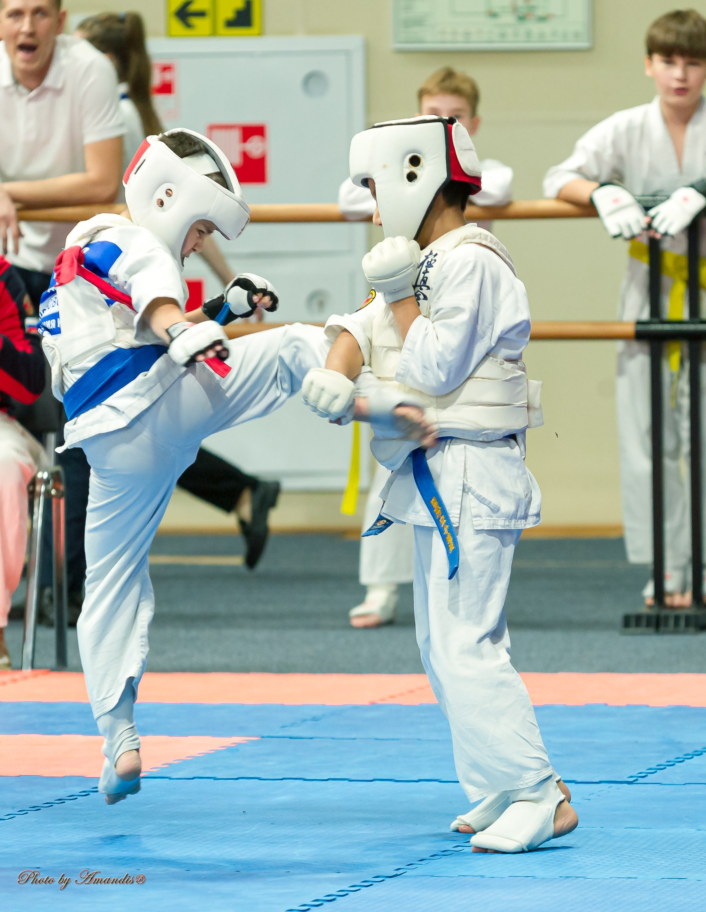 Первенство Московской области по Киокушин в СК «Жаворонки». Репортажная съемка в Москве и области. Анималистика