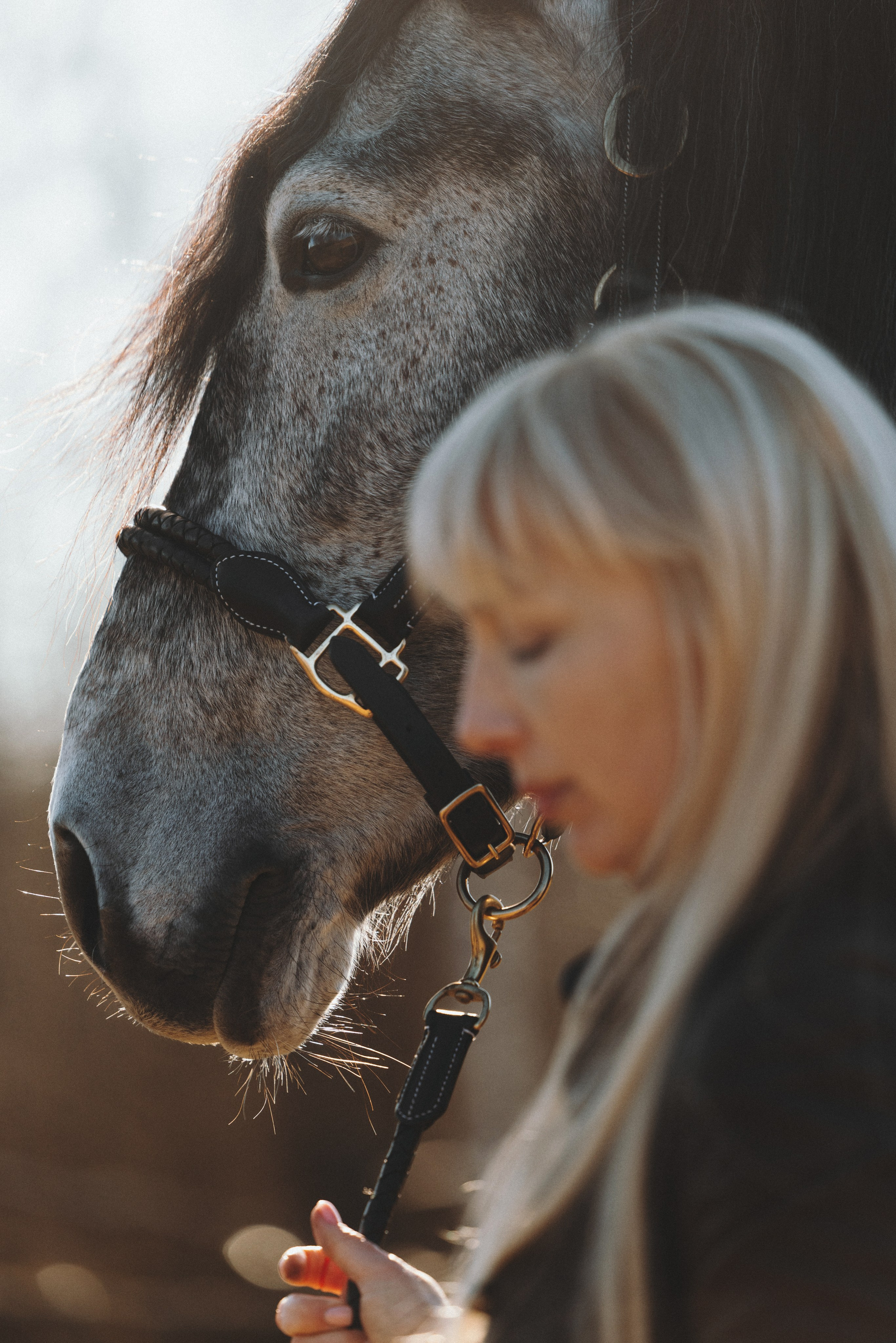 Ирина и Командор. Фотограф анималист Осипчикова Мария