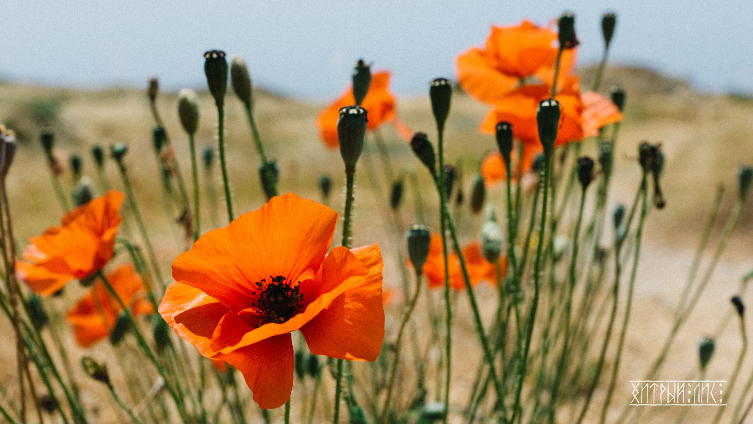 Кипр. Фотограф-путешественник Самойлов Максим «Sly Fox»