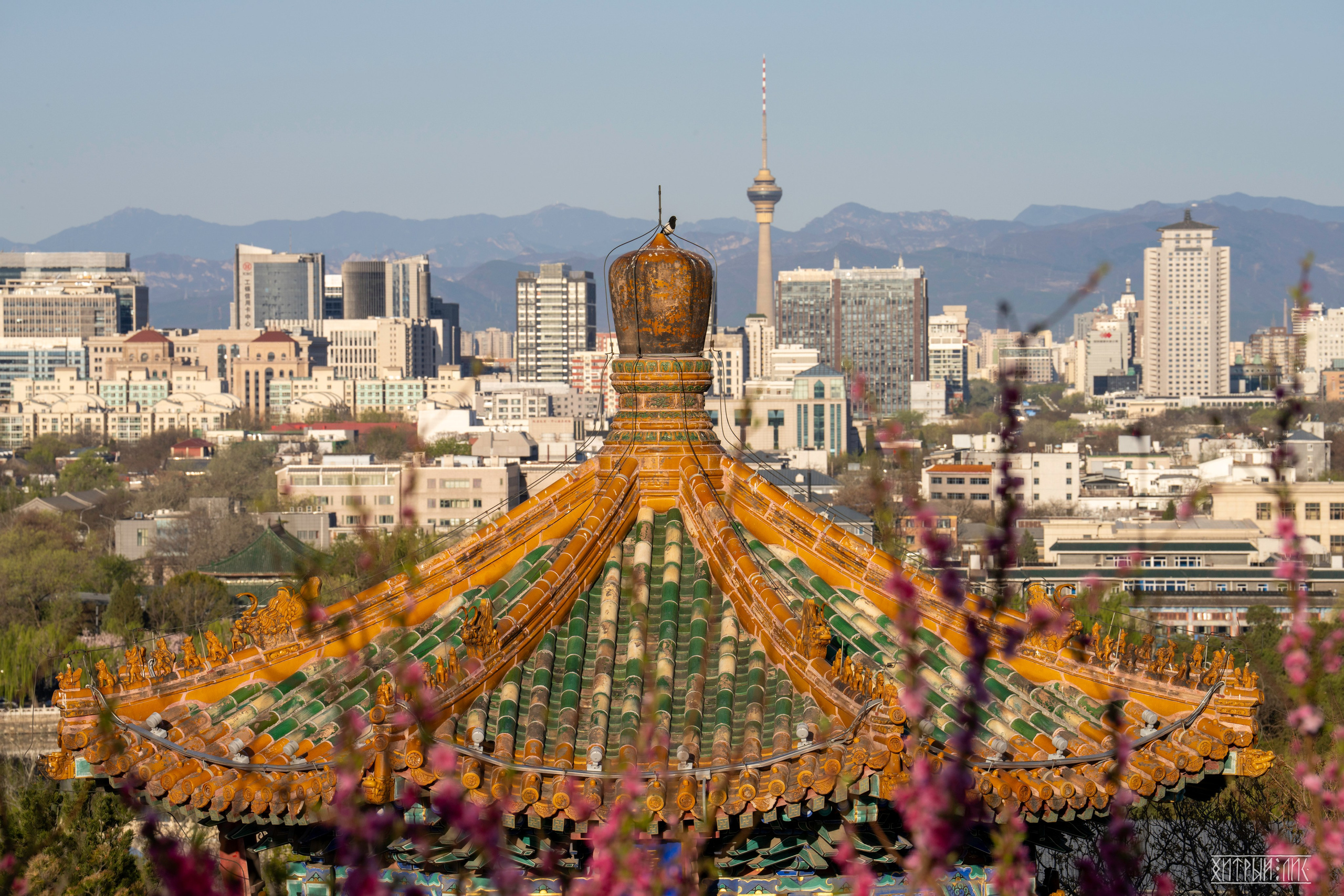 Пекин. Фотограф-путешественник Самойлов Максим «Sly Fox»