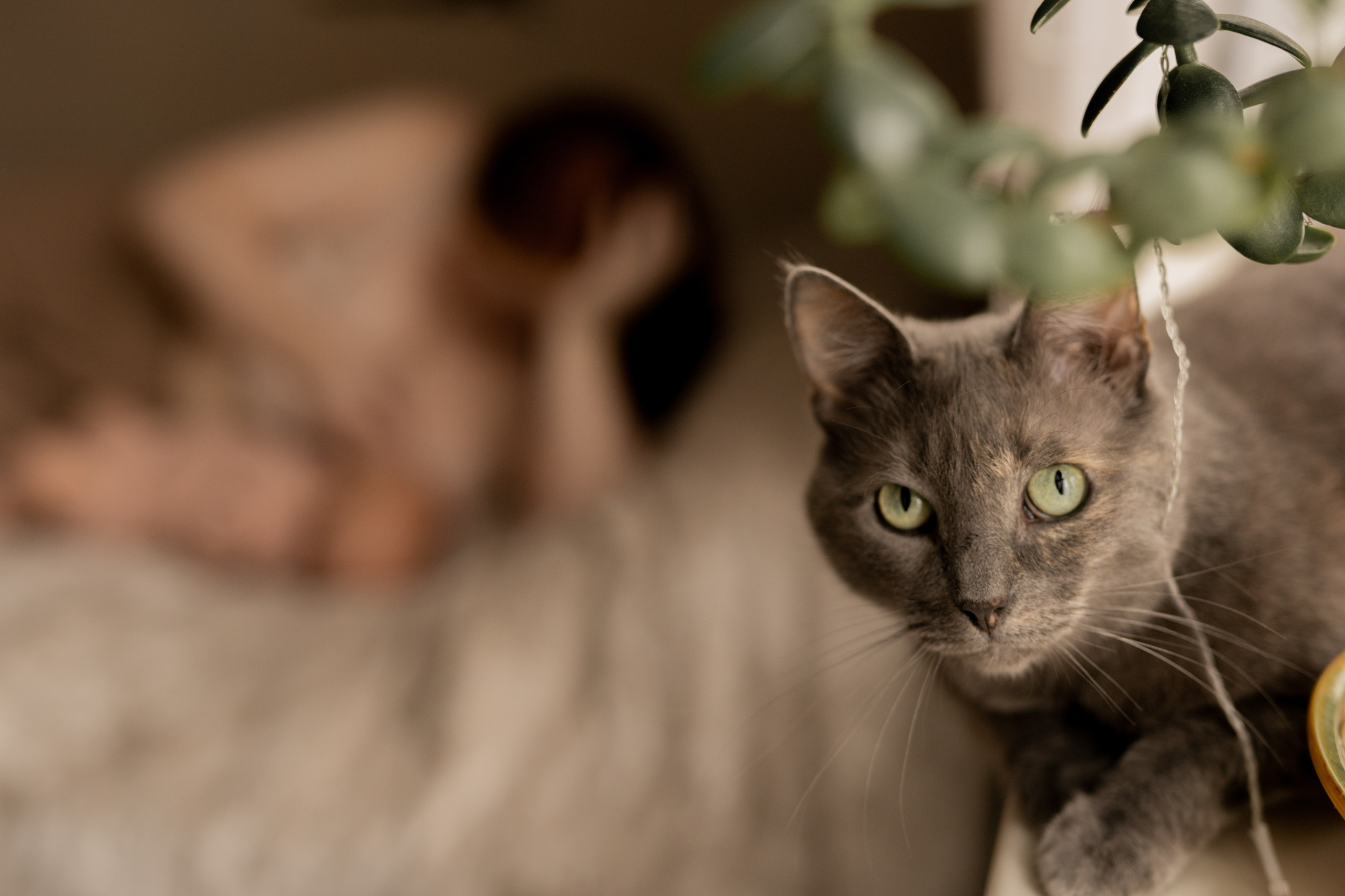 Мария, Артём и Анечка. Фотограф грудного вскармливания в Москве Екатерина