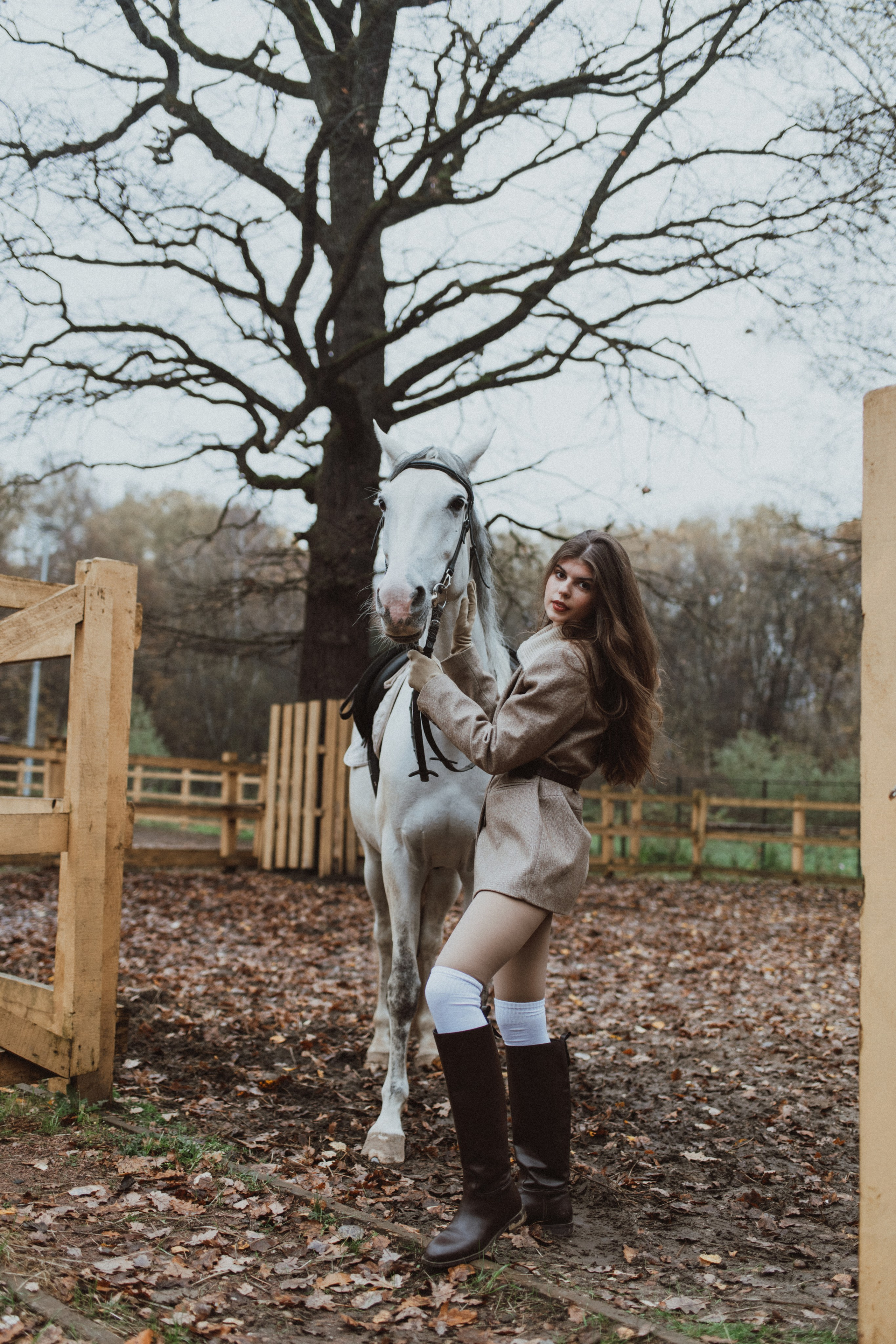 «Осенний ветер и грациозный скакун». Фотограф в Москве/Зарайске Шахова Марина
