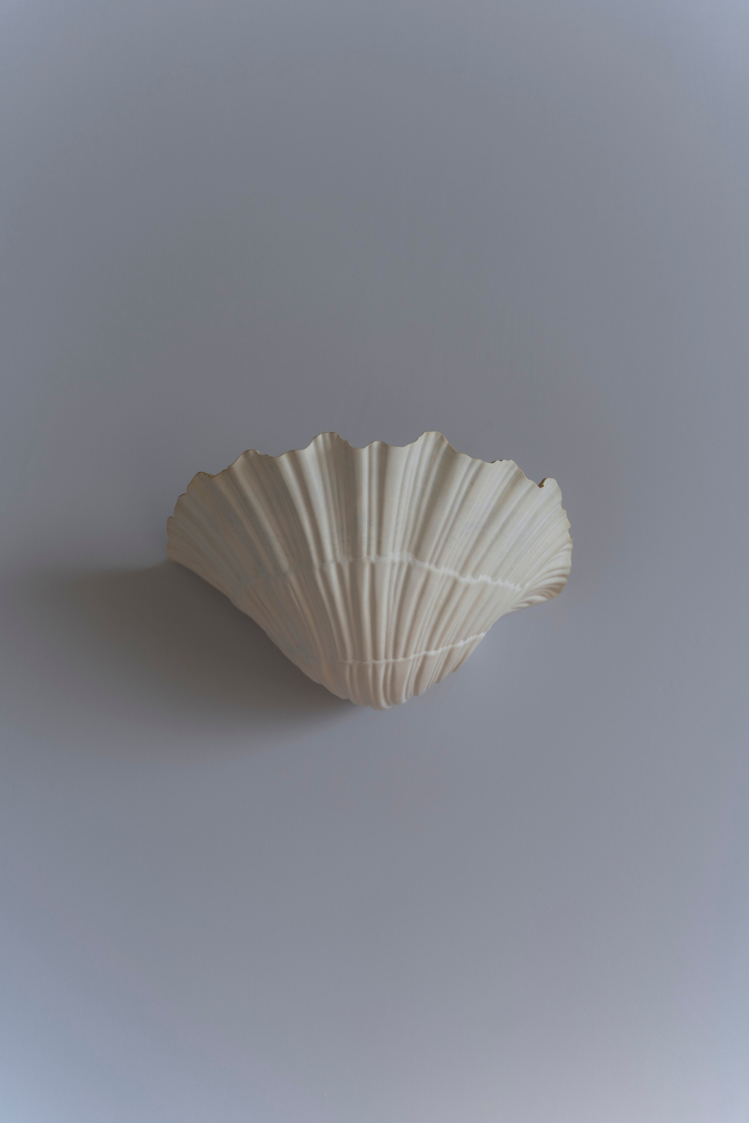 BOHEMIA. Детский семейный фотограф Краснодар