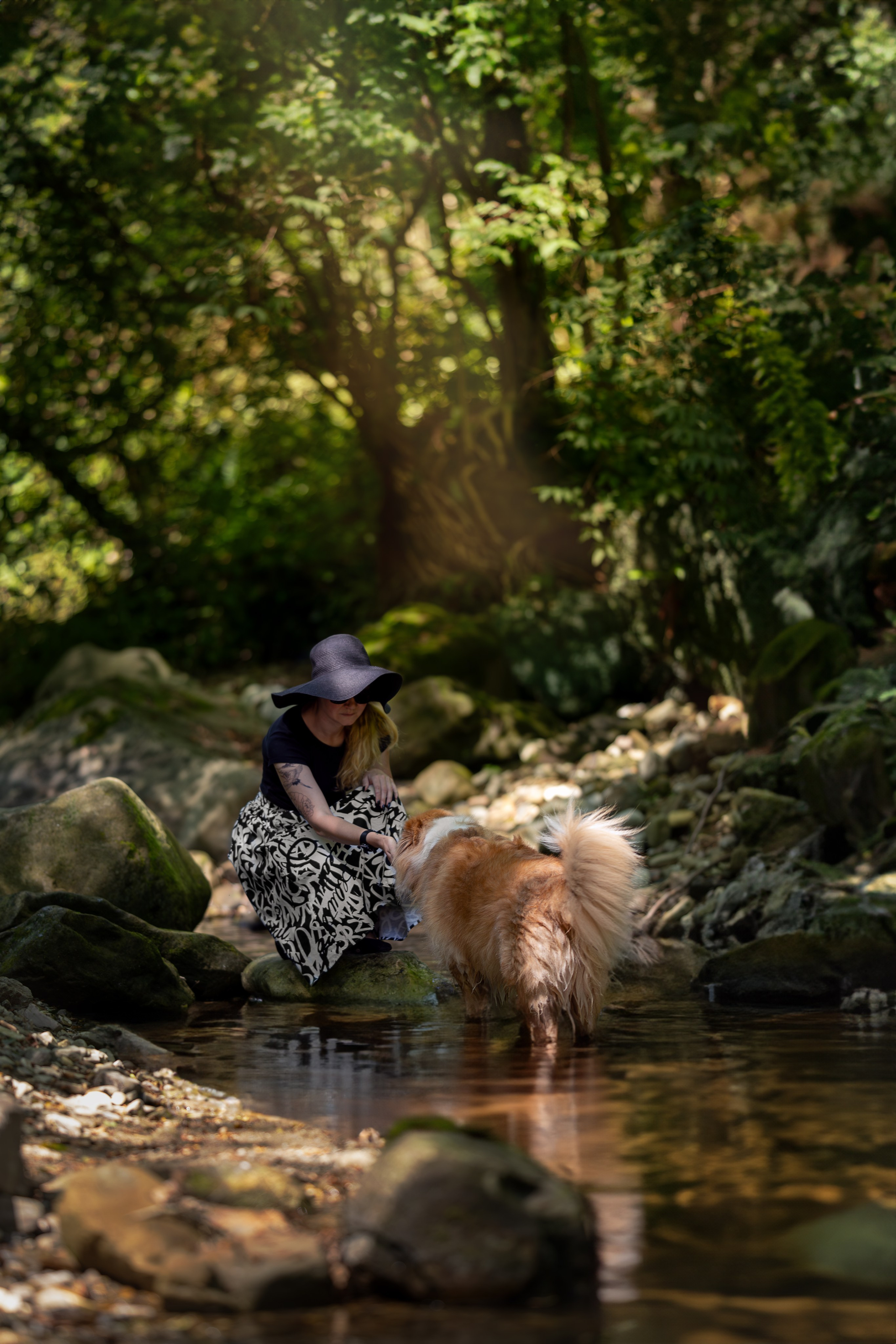 Терри, метис. Ирина Голомб|Фотограф-анималист в  Сочи и Калининграде