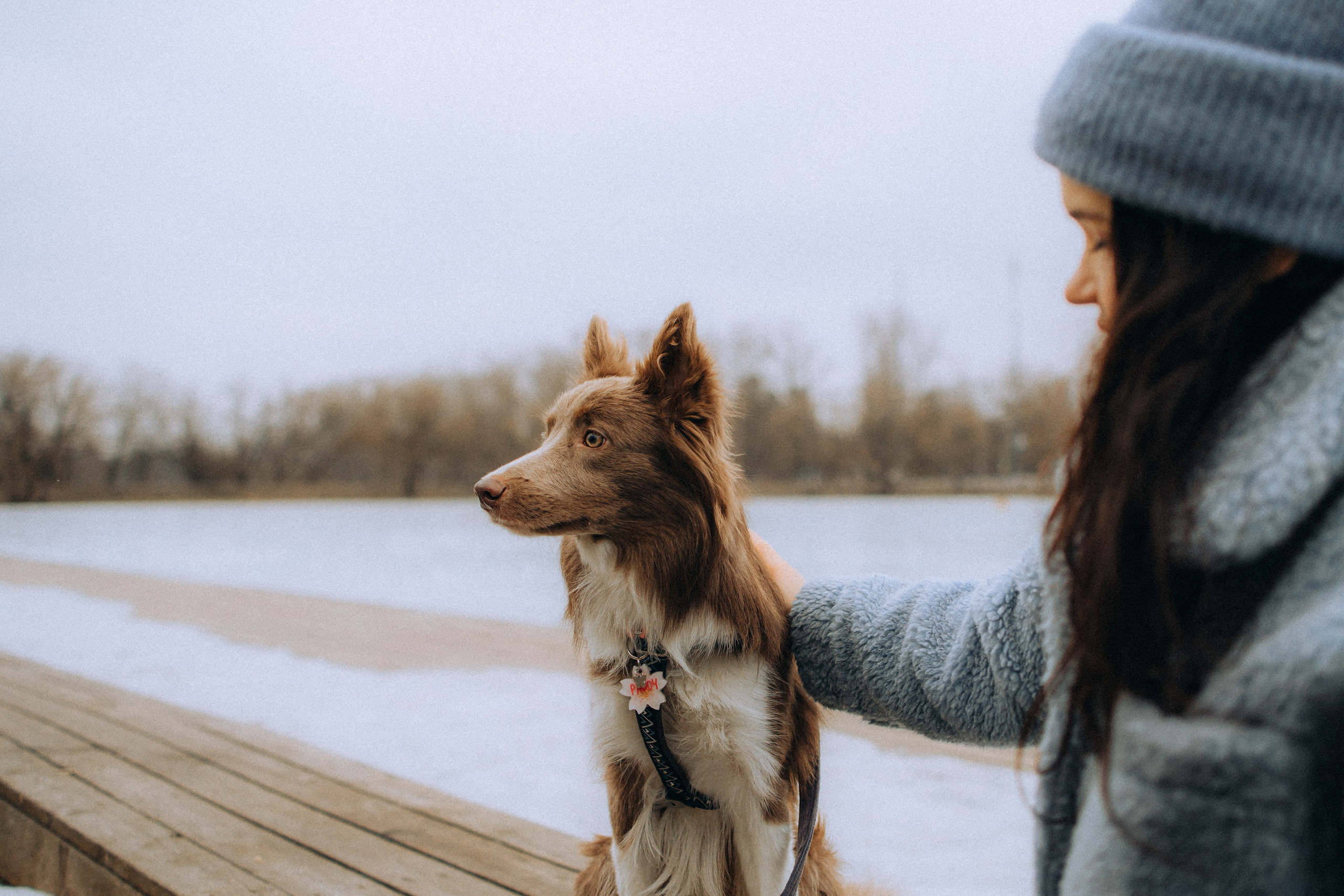 Полина, Милли и Паддингтон