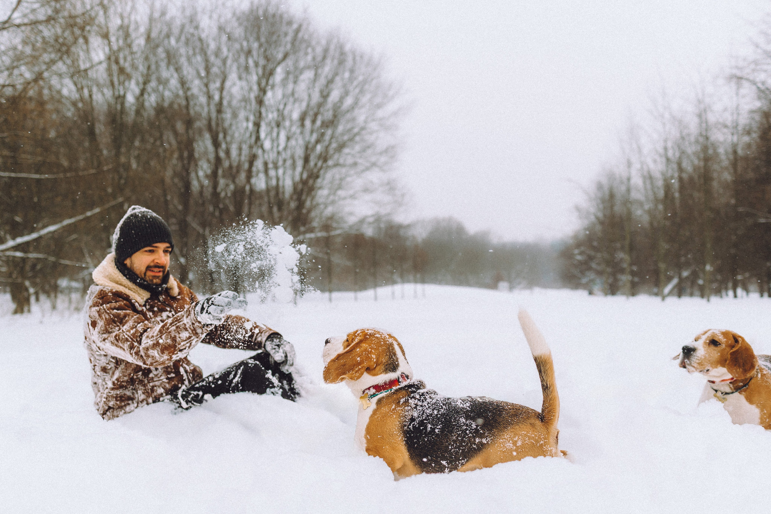Роман, Портер и Коррес