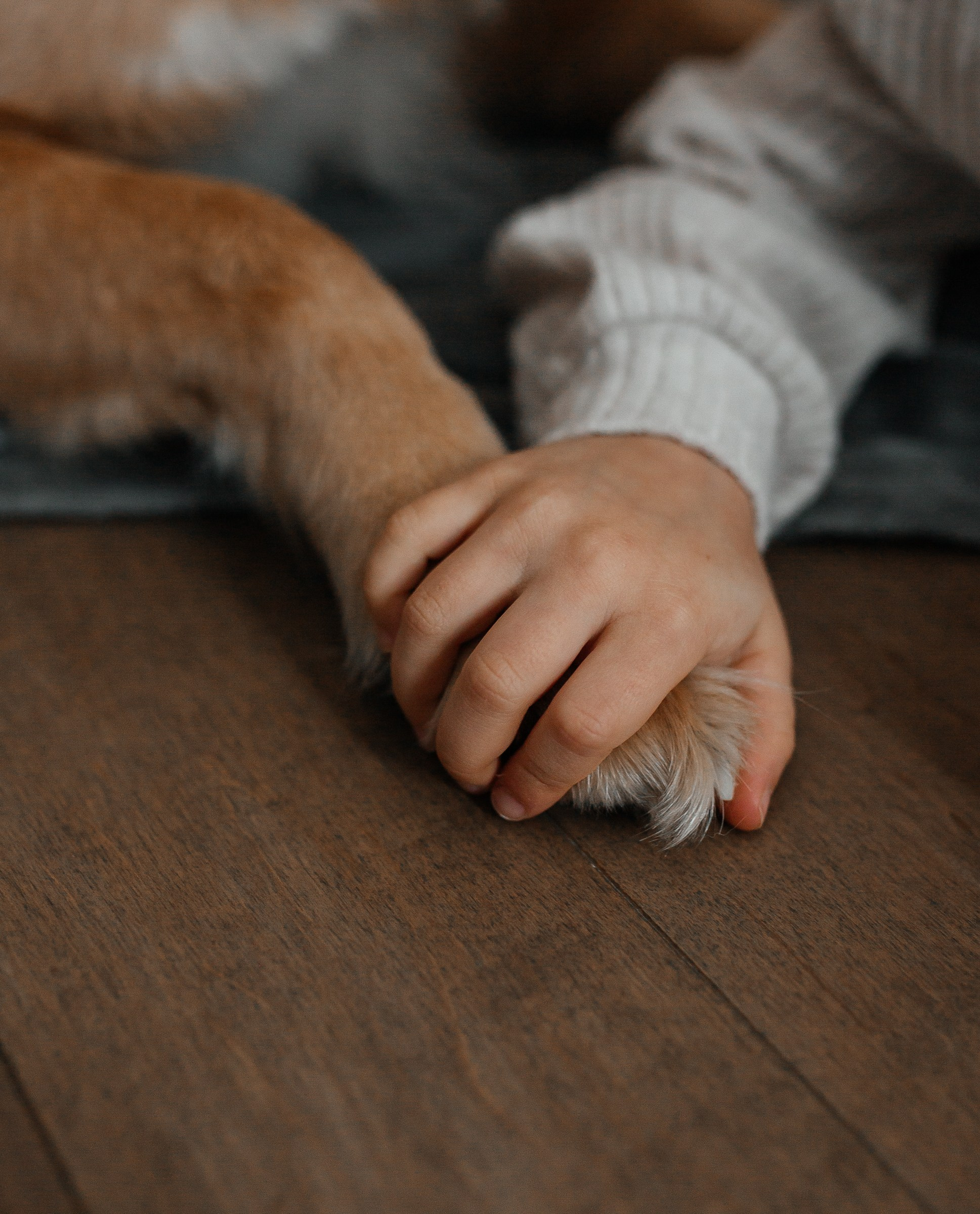 Ира, Илья, Аюша, Уми, Лу и Мия