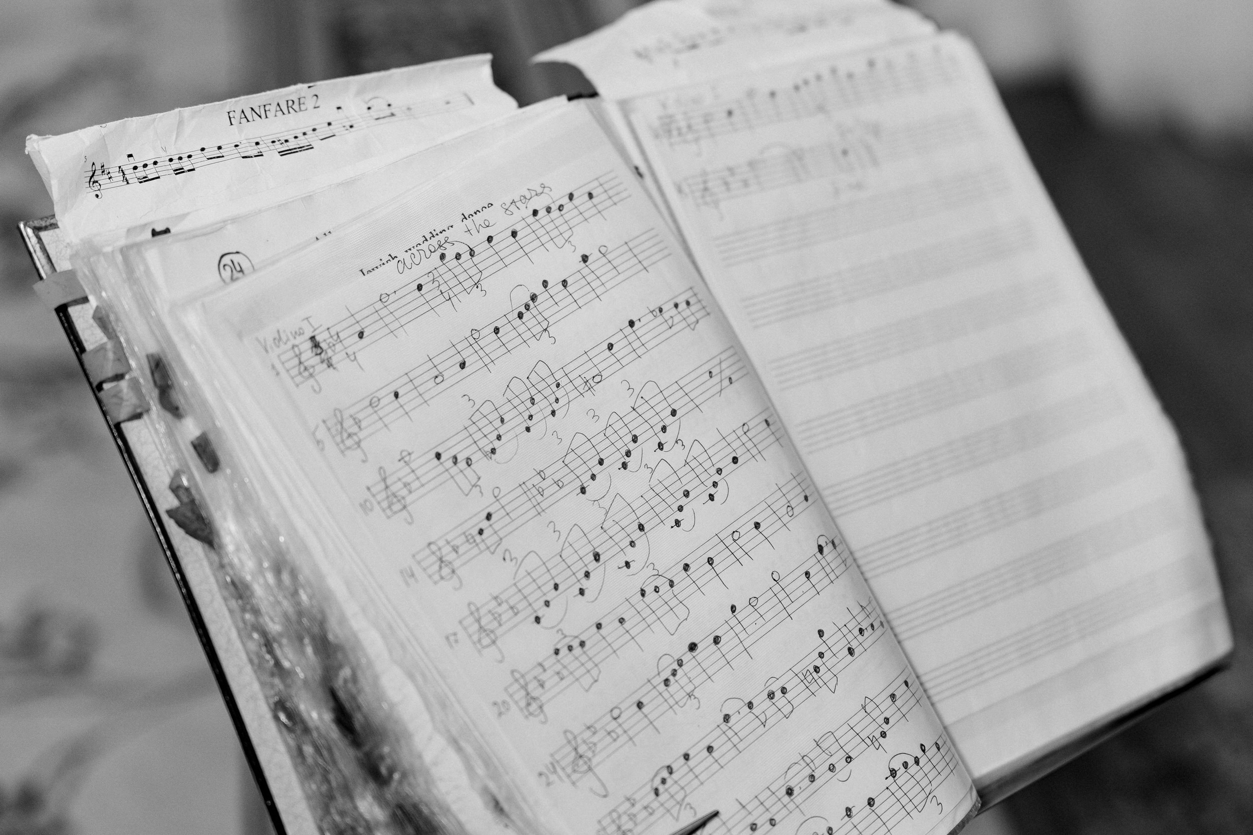 Вика и Вова. Свадебный и портретный фотограф в Архангельске Илья Труфанов