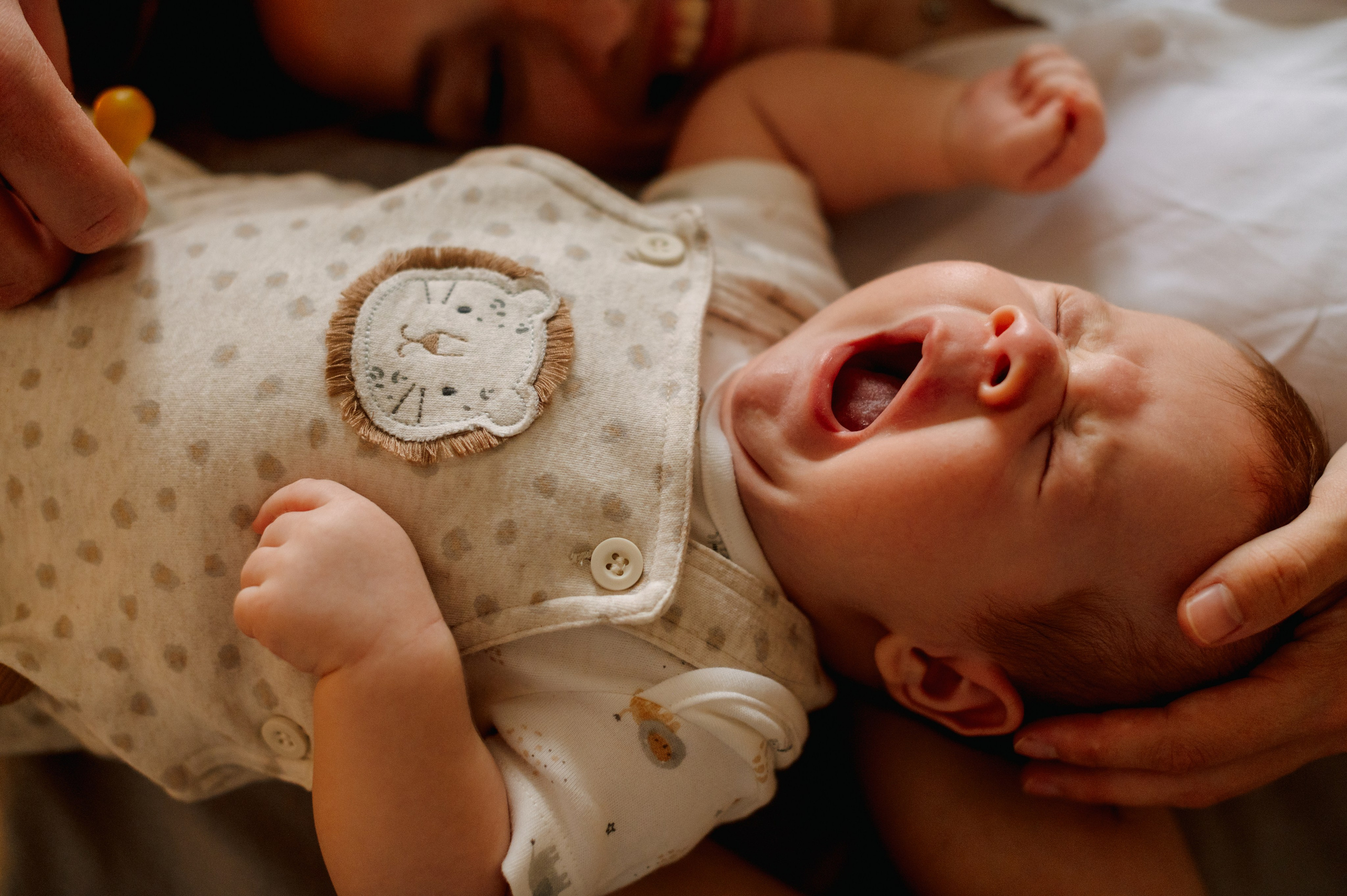 ЮЛЯ, МИША И ЛЕВ. Шашкова Вероника / Свадебный и семейный фотограф Москва и Ярославль