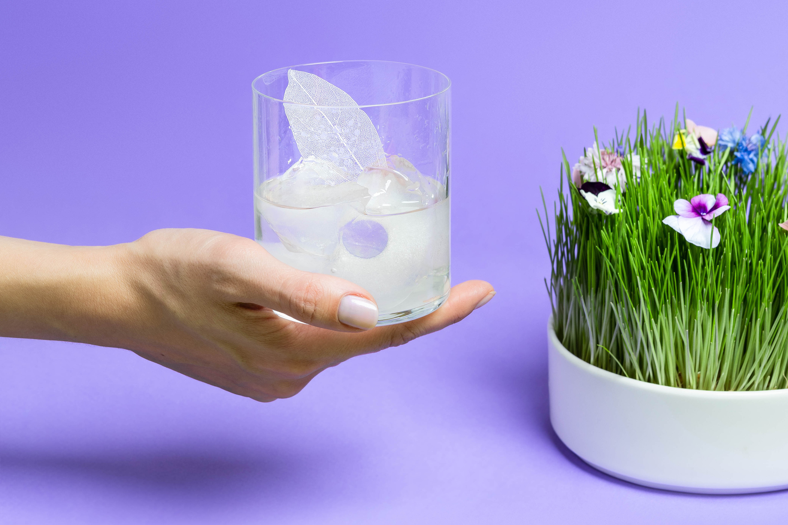 Фотосъемка меню для ресторанов, кафе и других заведений. Фотостудия Домодедово — Lumi Studio