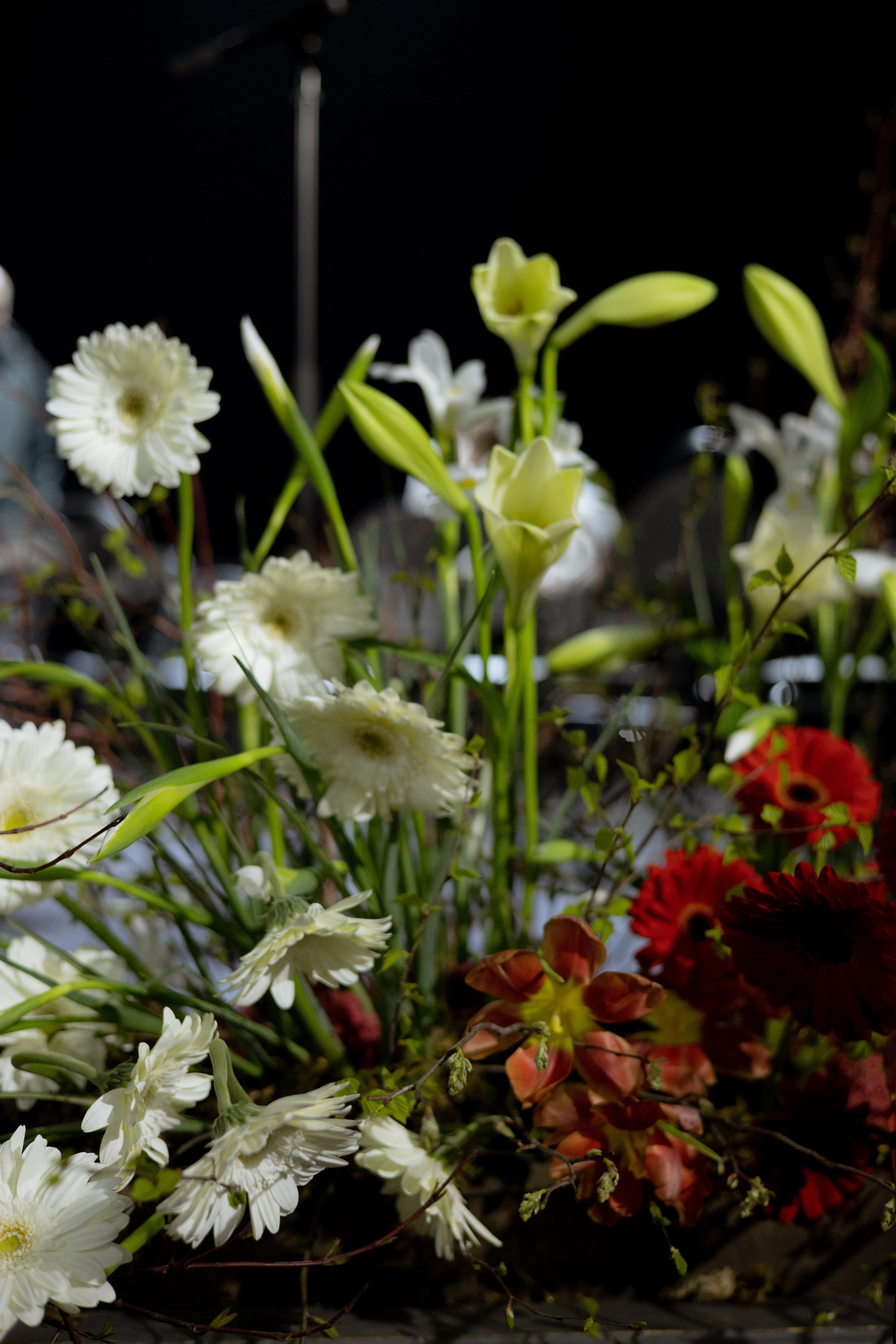 Оформление Отчетного концерта Музыкальной школы Глазунова. Оформление свадеб, декор свадеб Вера Маркова, Москва