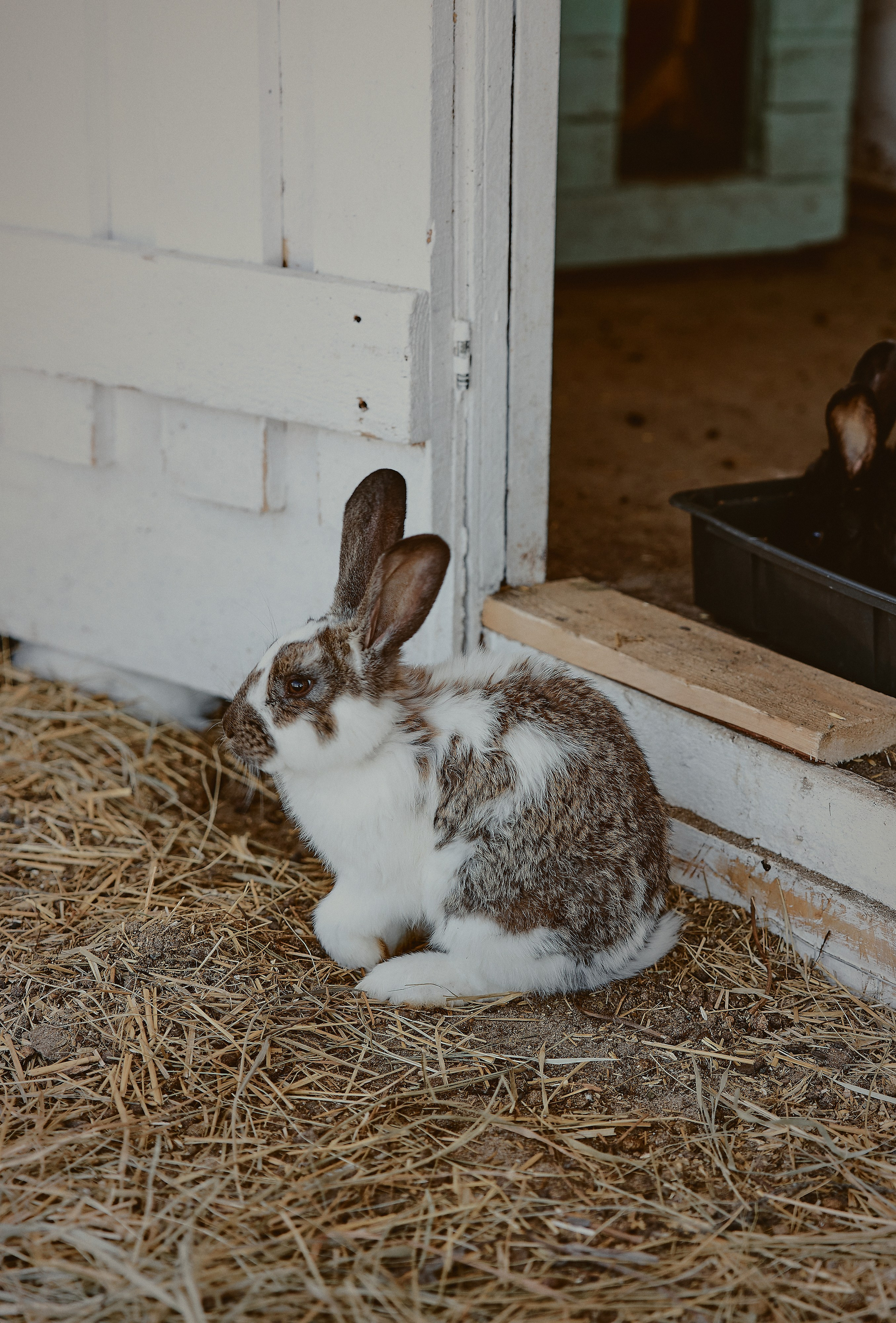 25|05|23. Анастасия Марунич | Блогер | Ставрополь