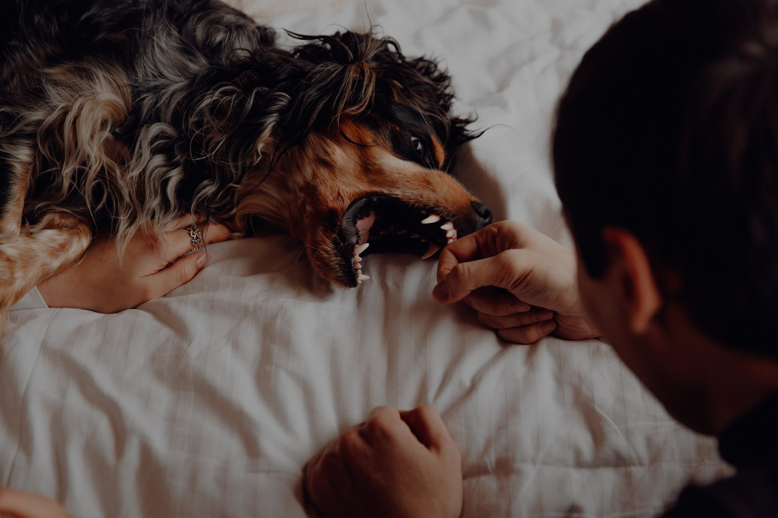 Ася ღ Заур. Портфолио