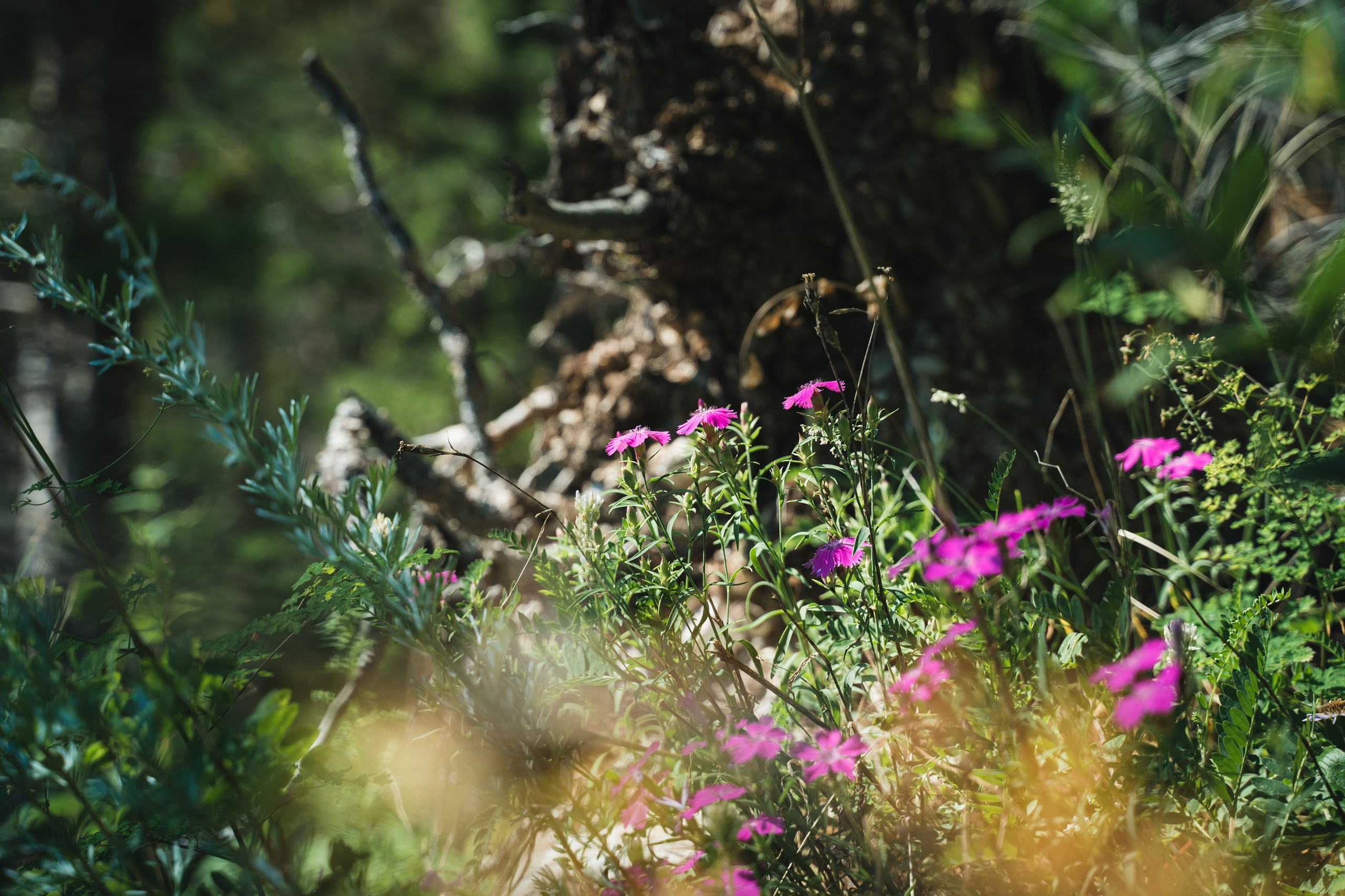 Байкал. ББТ, Ольхон и Аршан. Фотограф в поход и восхождение на Эльбрус Игорь Косарев