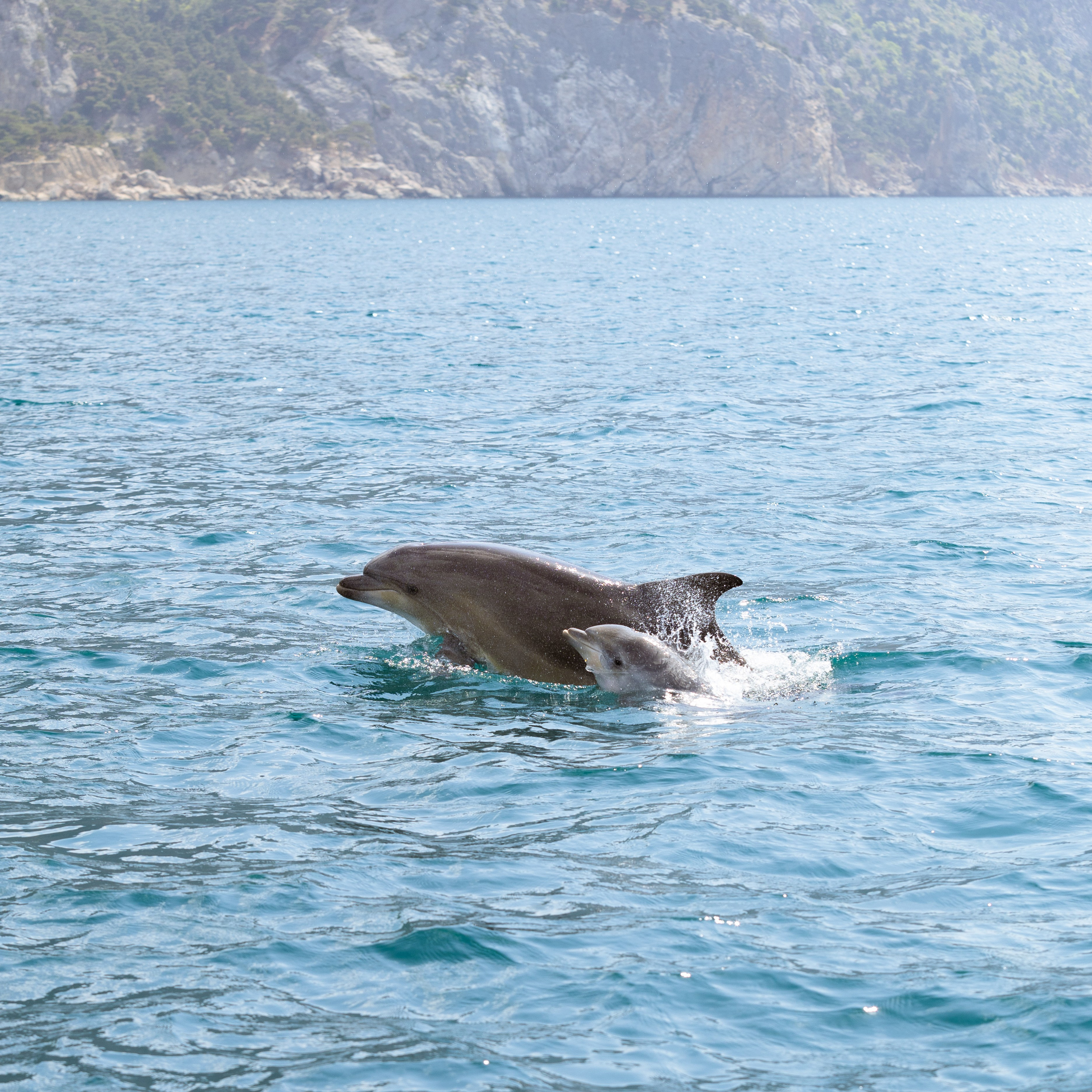Морская Романтика. Артем Корнев Фотограф