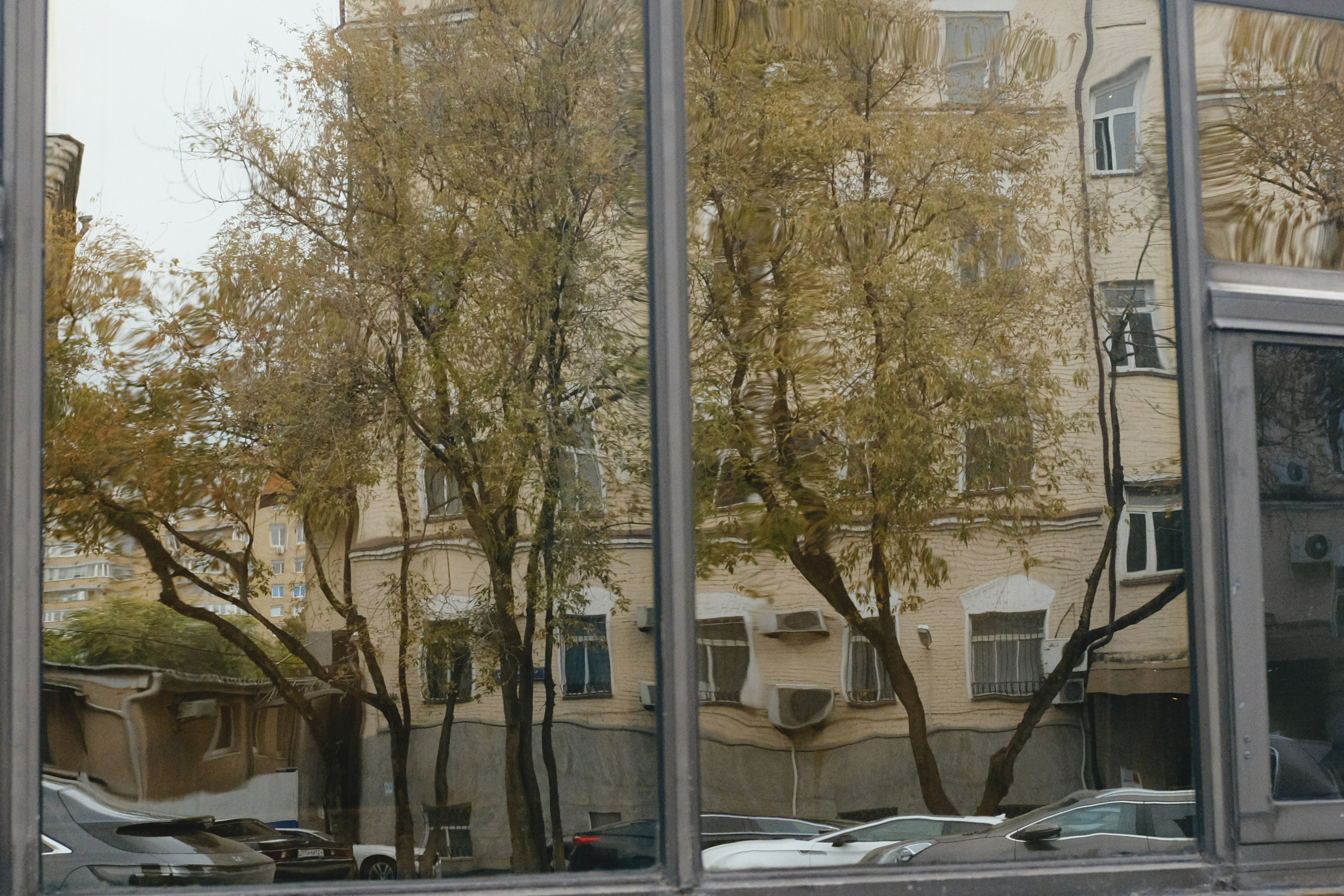 06 / 21.09.25. Женский фотограф-психолог в Москве Валерия Никитина