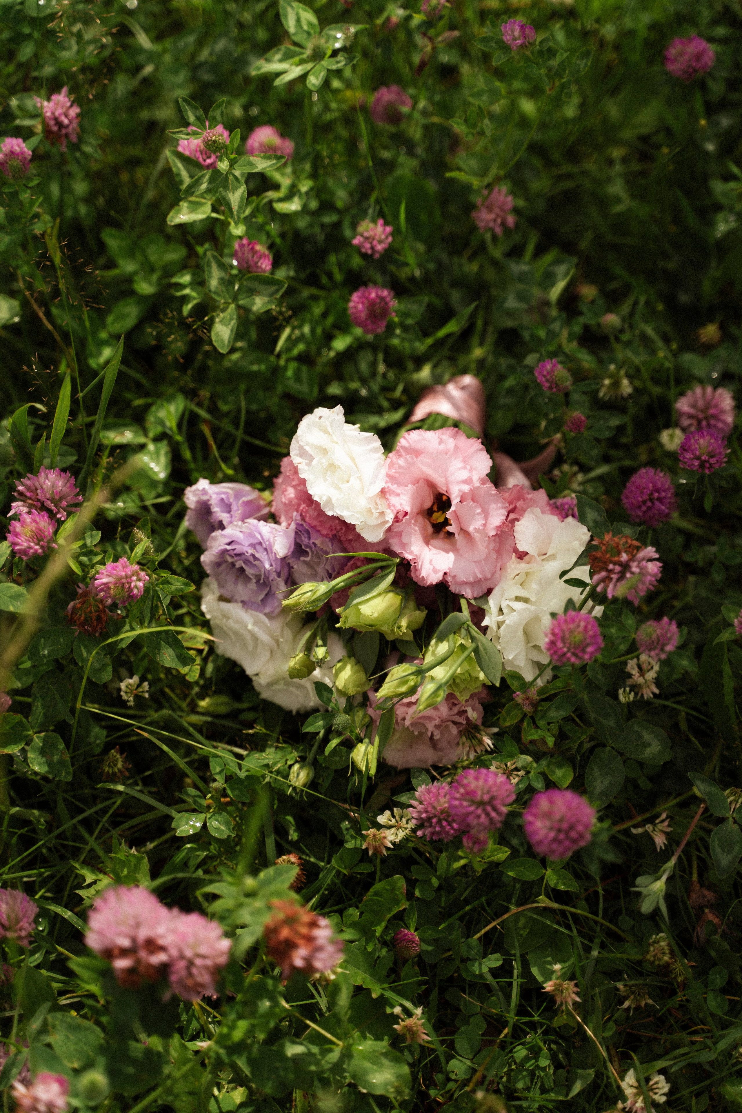 Прогулка. Фотограф Москва | Анна Мальцева