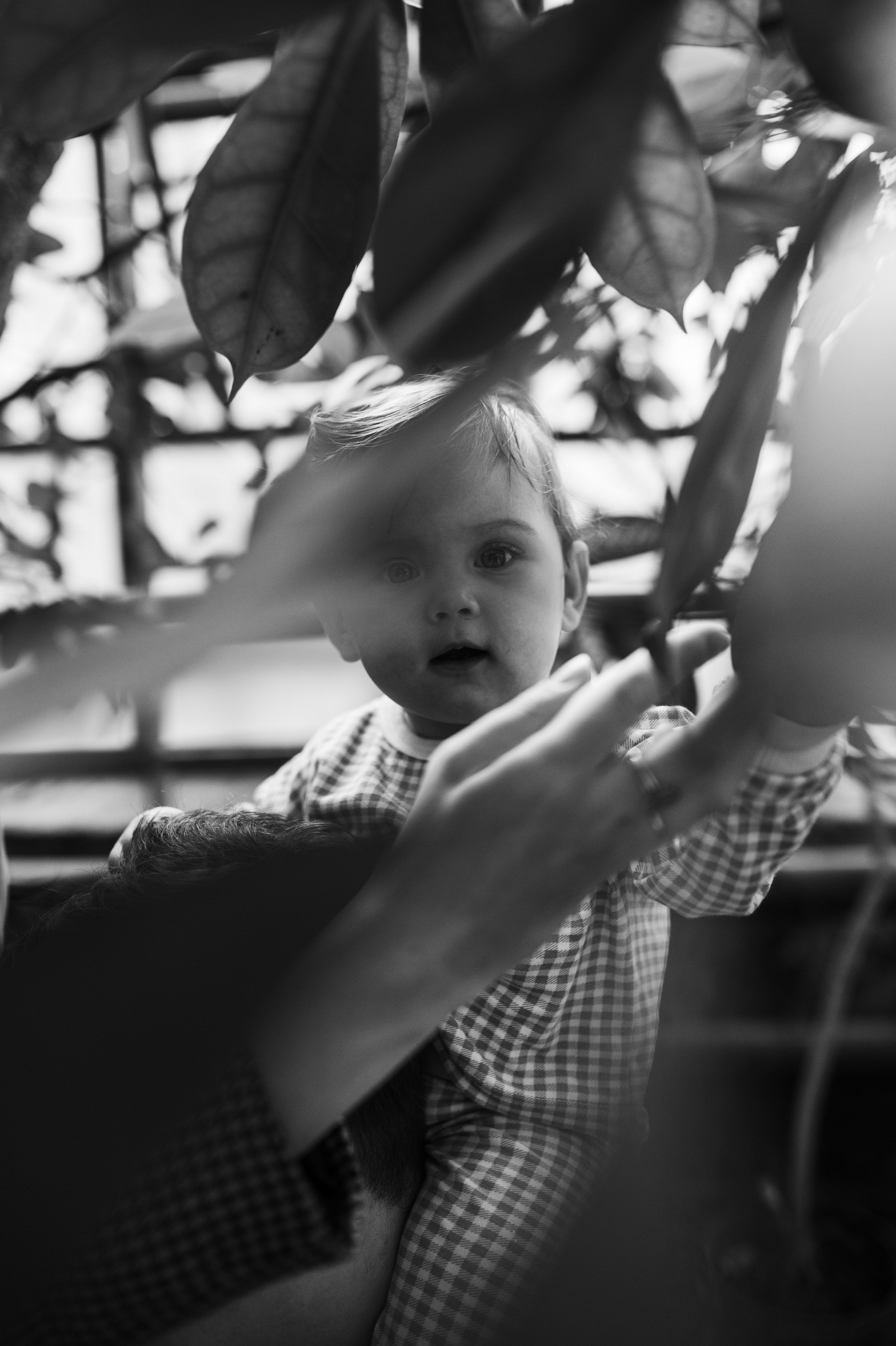 Илья, Ирина и Ева в Оранжерее. Семейный и свадебный lifestyle-фотограф в Москве Мария Петрова