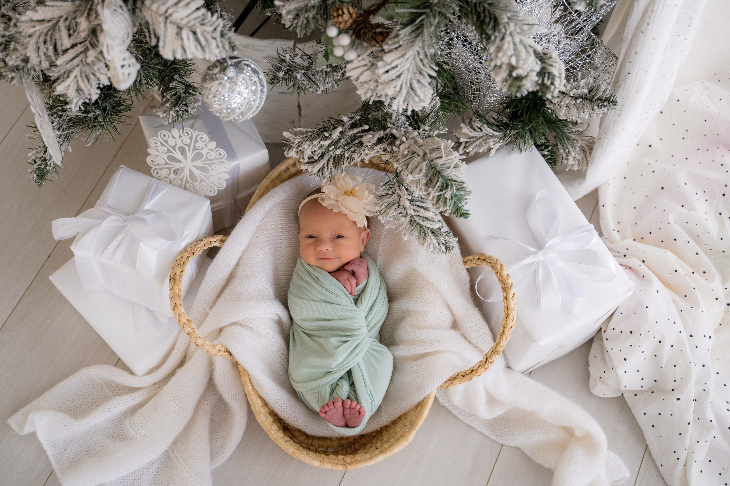 Ньюборн стандарт. Фотостудия Малина в городе Улан-Удэ. Фотограф Ирина Жарникова