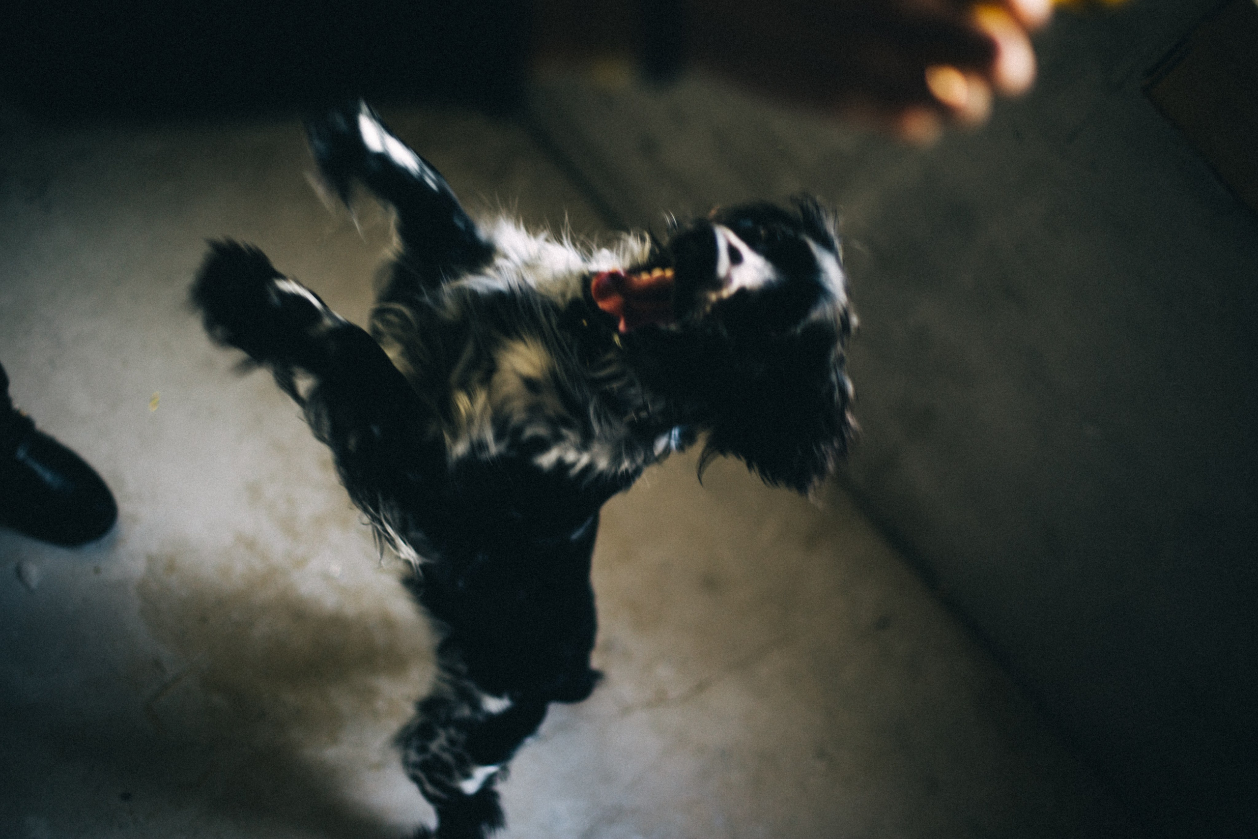 Марина и Сэм. Фотограф в Нижнем Новгороде