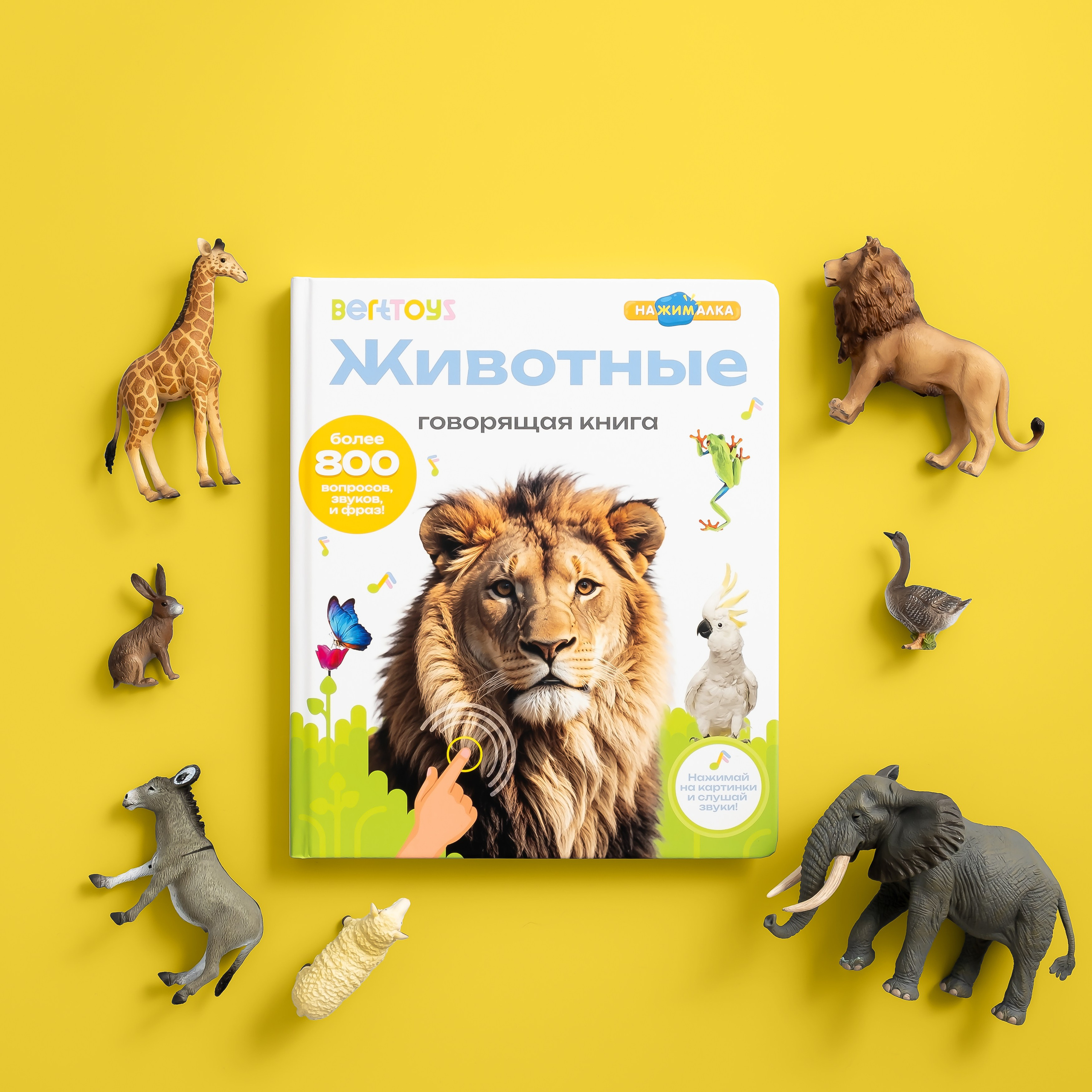Детские товары Berttoys. Предметная фотосъёмка, инфографика и видео в Санкт-Петербурге для маркетплейсов