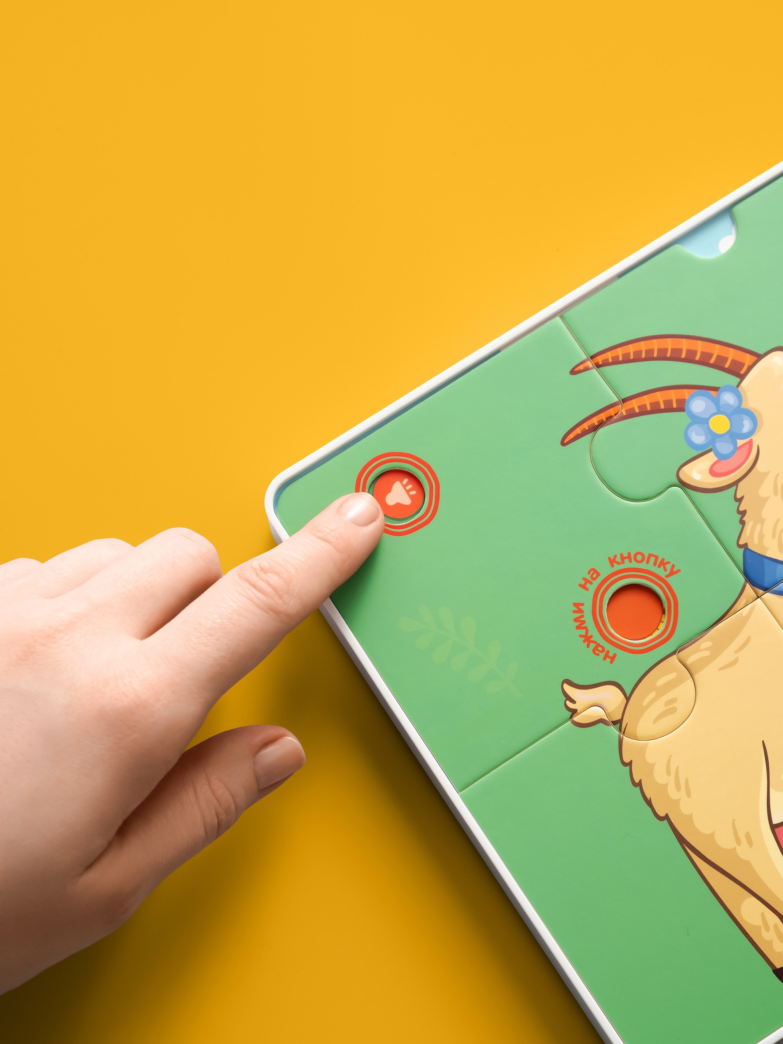 Детские товары Berttoys. Предметная фотосъёмка, инфографика и видео в Санкт-Петербурге для маркетплейсов