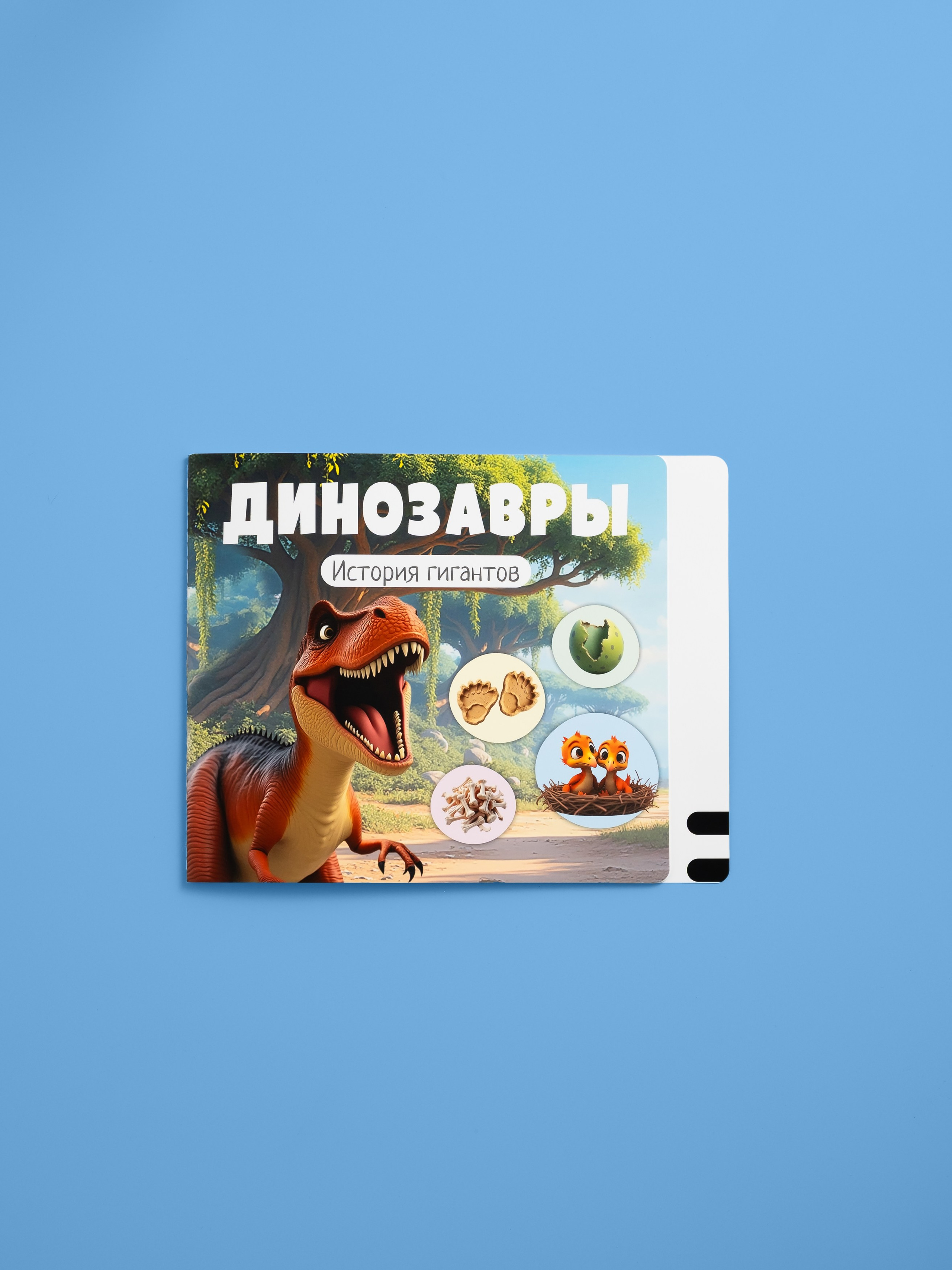 Berttoys детские товары. Предметная фотосъёмка и видеосъёмка в Санкт-Петербурге и Москве для маркетплейсов