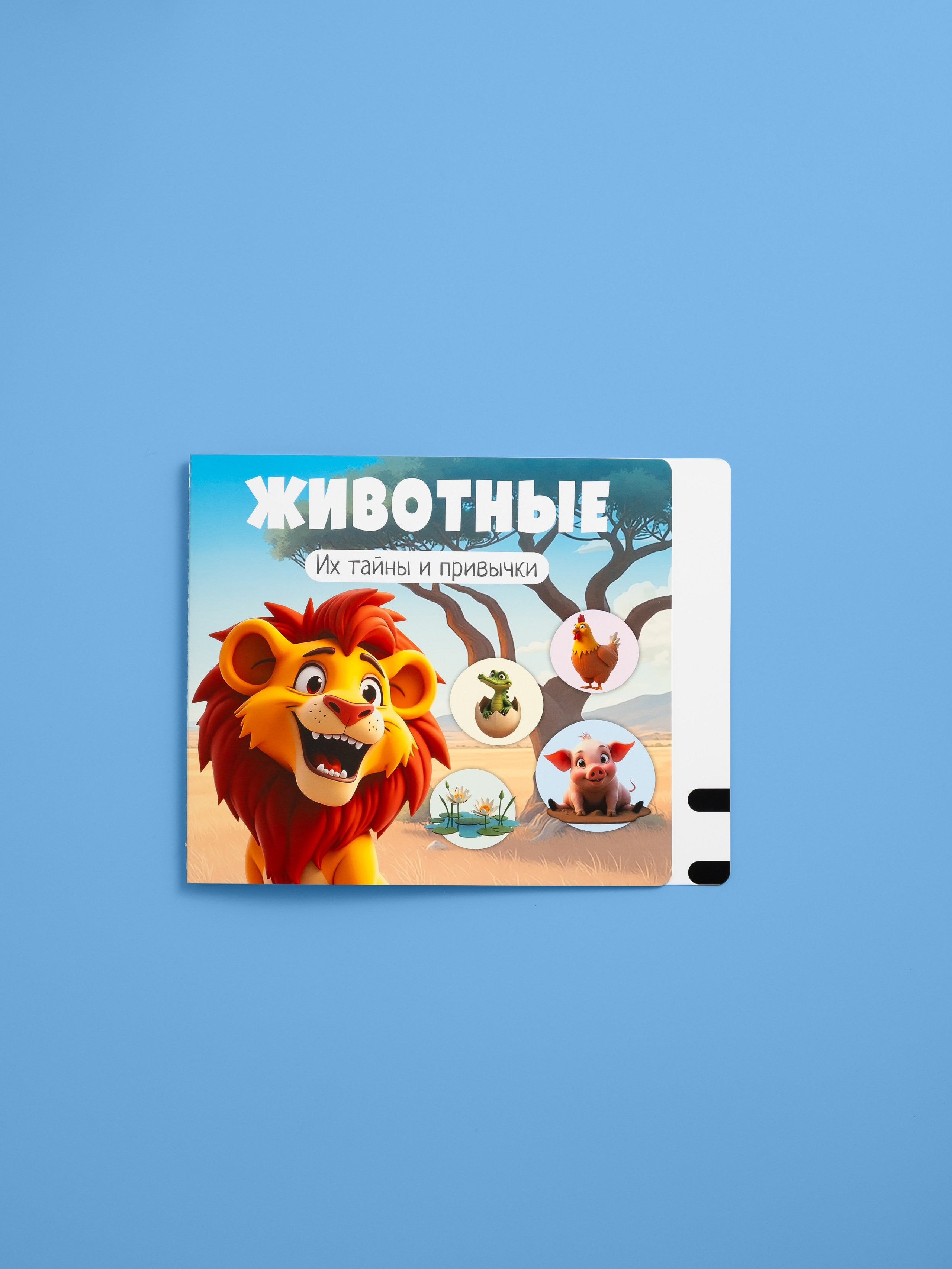Berttoys детские товары. Предметная фотосъёмка и видеосъёмка в Санкт-Петербурге и Москве для маркетплейсов