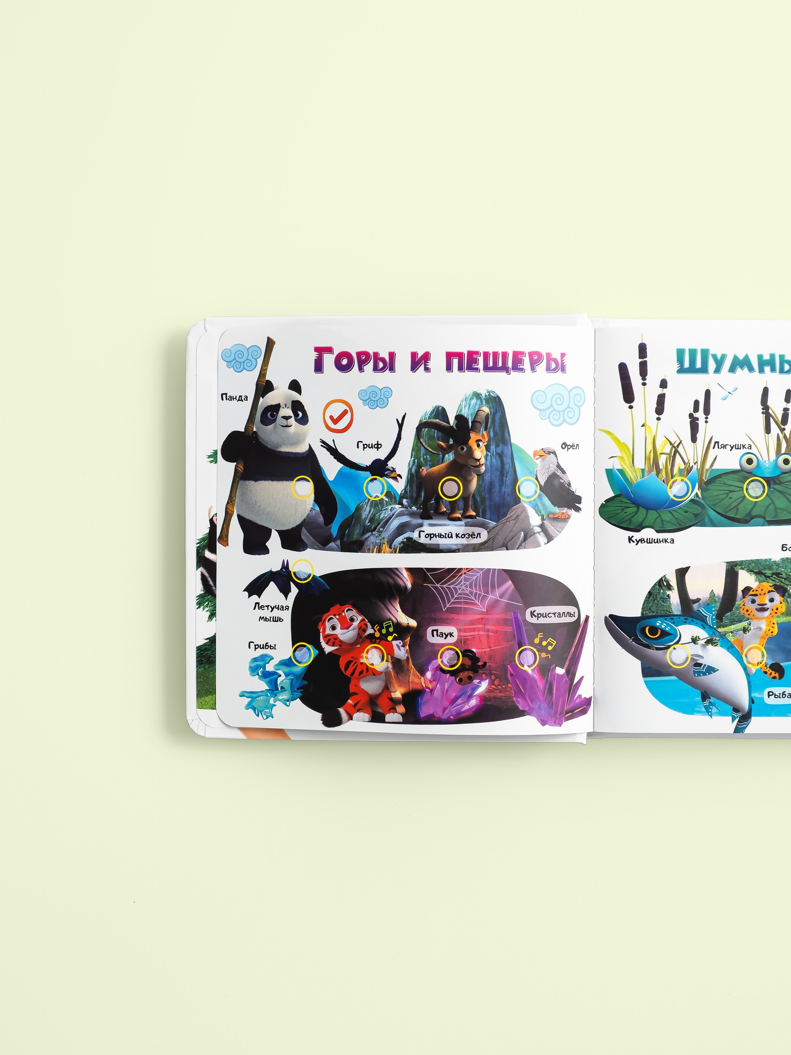 Berttoys детские товары. Предметная фотосъёмка и видеосъёмка в Санкт-Петербурге и Москве для маркетплейсов