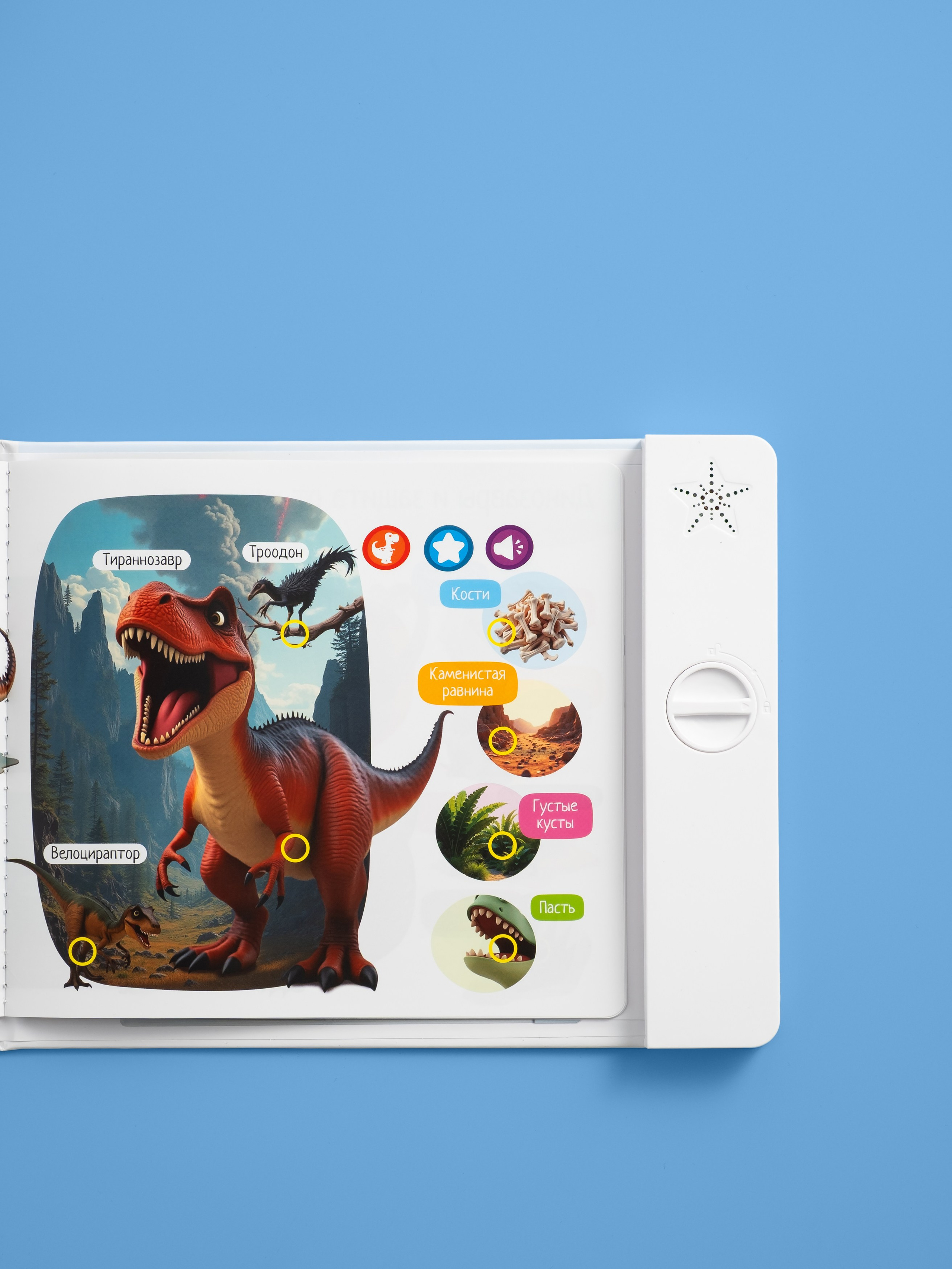Детские товары Berttoys. Предметная фотосъёмка, инфографика и видео в Санкт-Петербурге для маркетплейсов