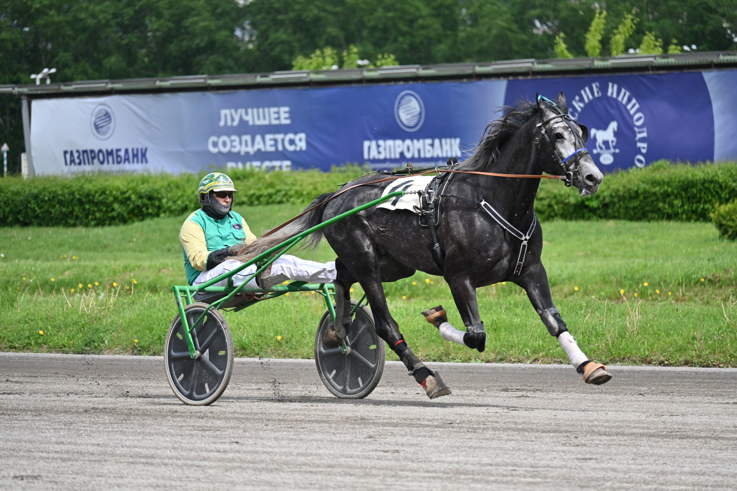 Московский ипподром. Fotolux