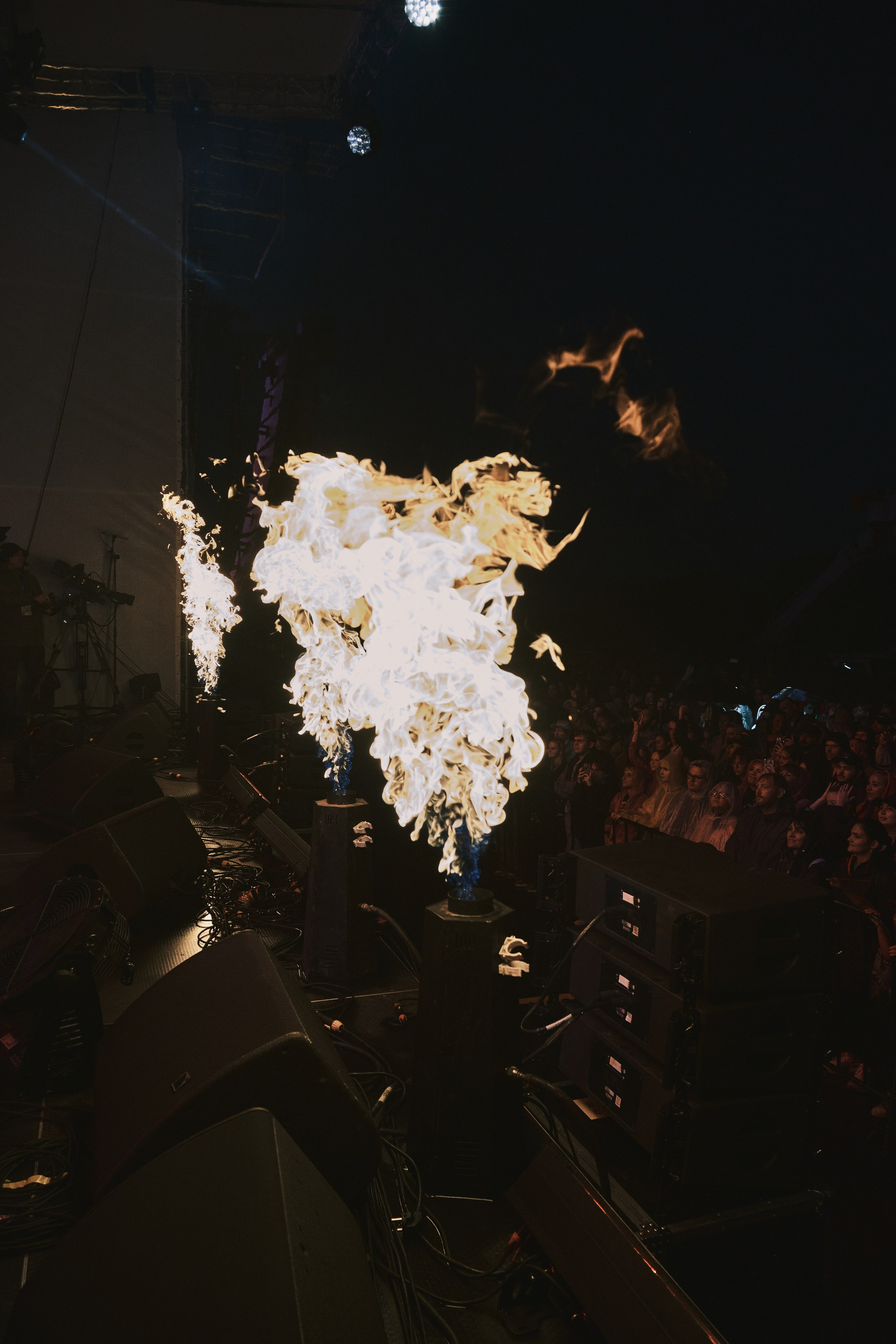 “Saphath” \ “Wings of Sakhalin — 2025”