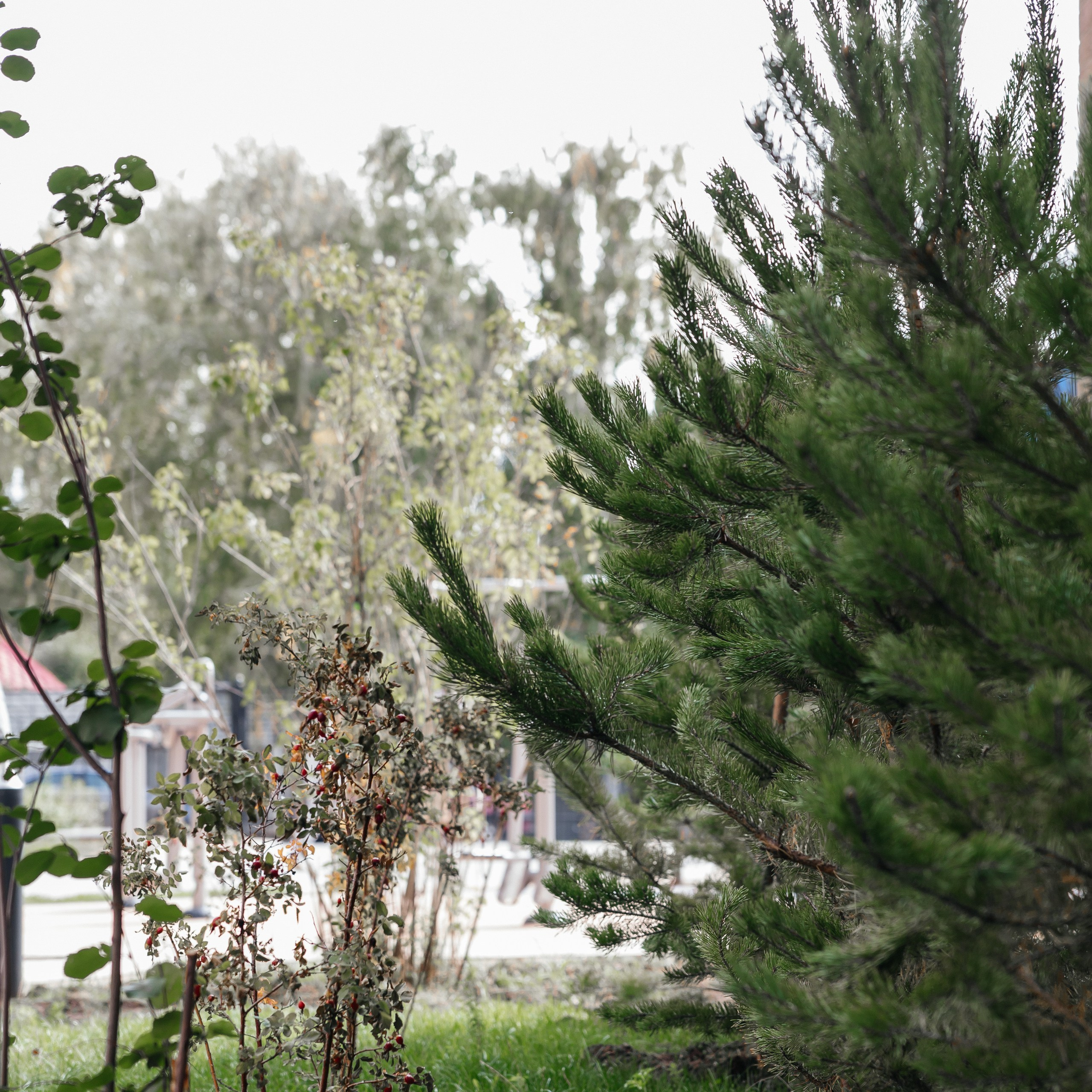 Проект 1. ЖК Buharest, Manhettan. Дата: Август 2023. Профессиональный фотограф в городе Астана/Алматы Даурен Сембаев