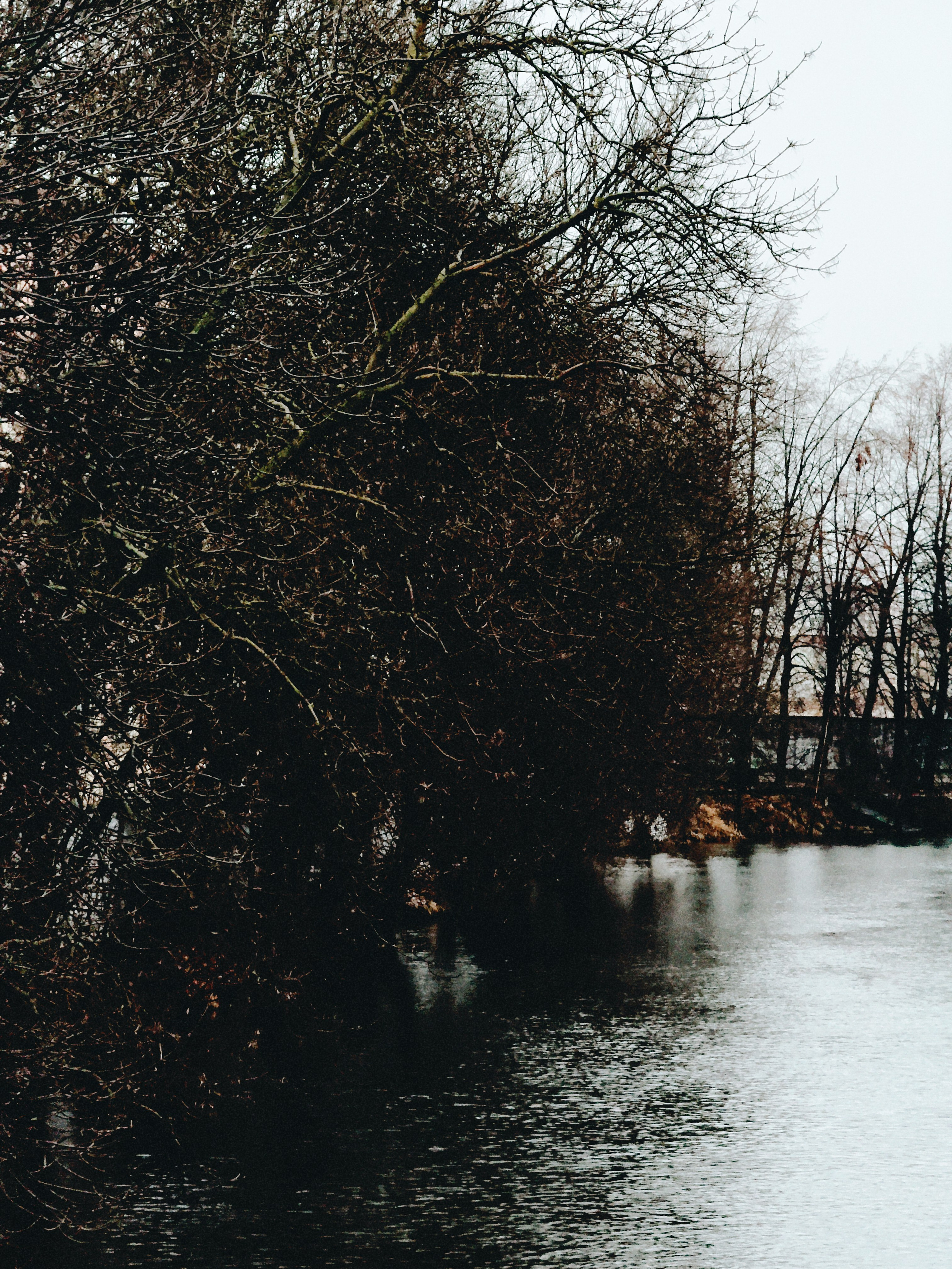 Телефон. Film and another stuff