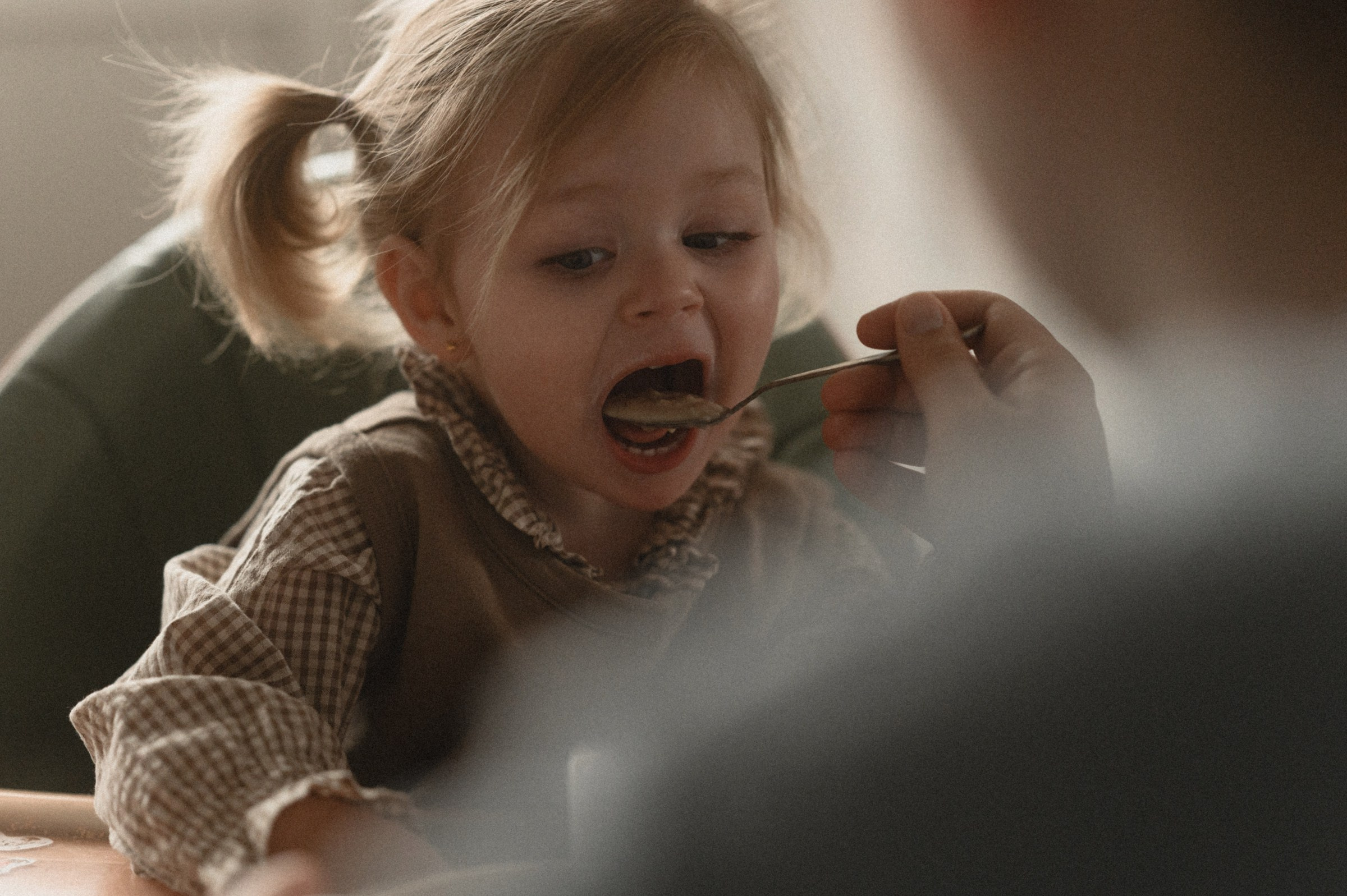 Сергей, Регина и Олива. Свадебный и семейный фотограф в Ростове-на-Дону