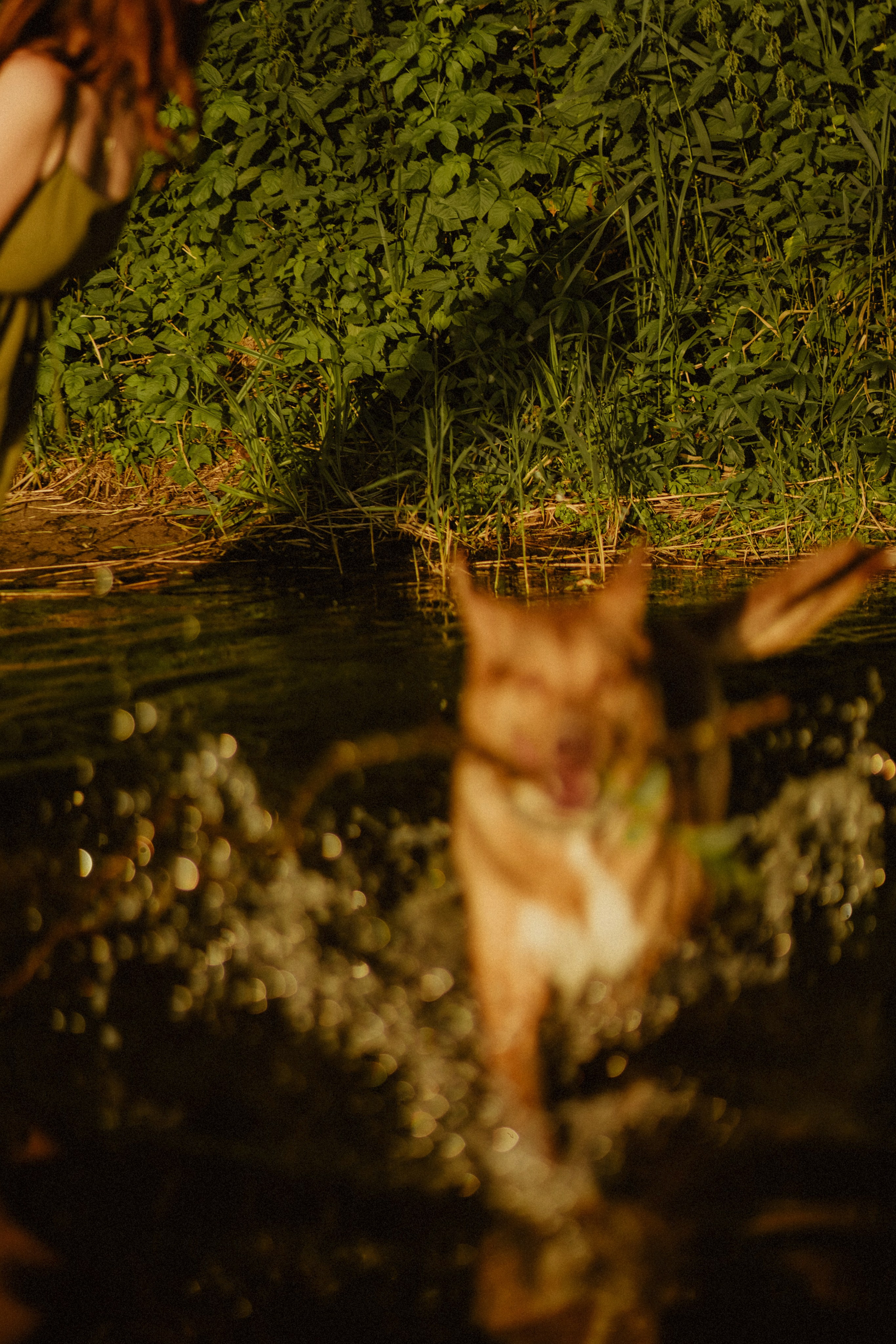 На странных берегах