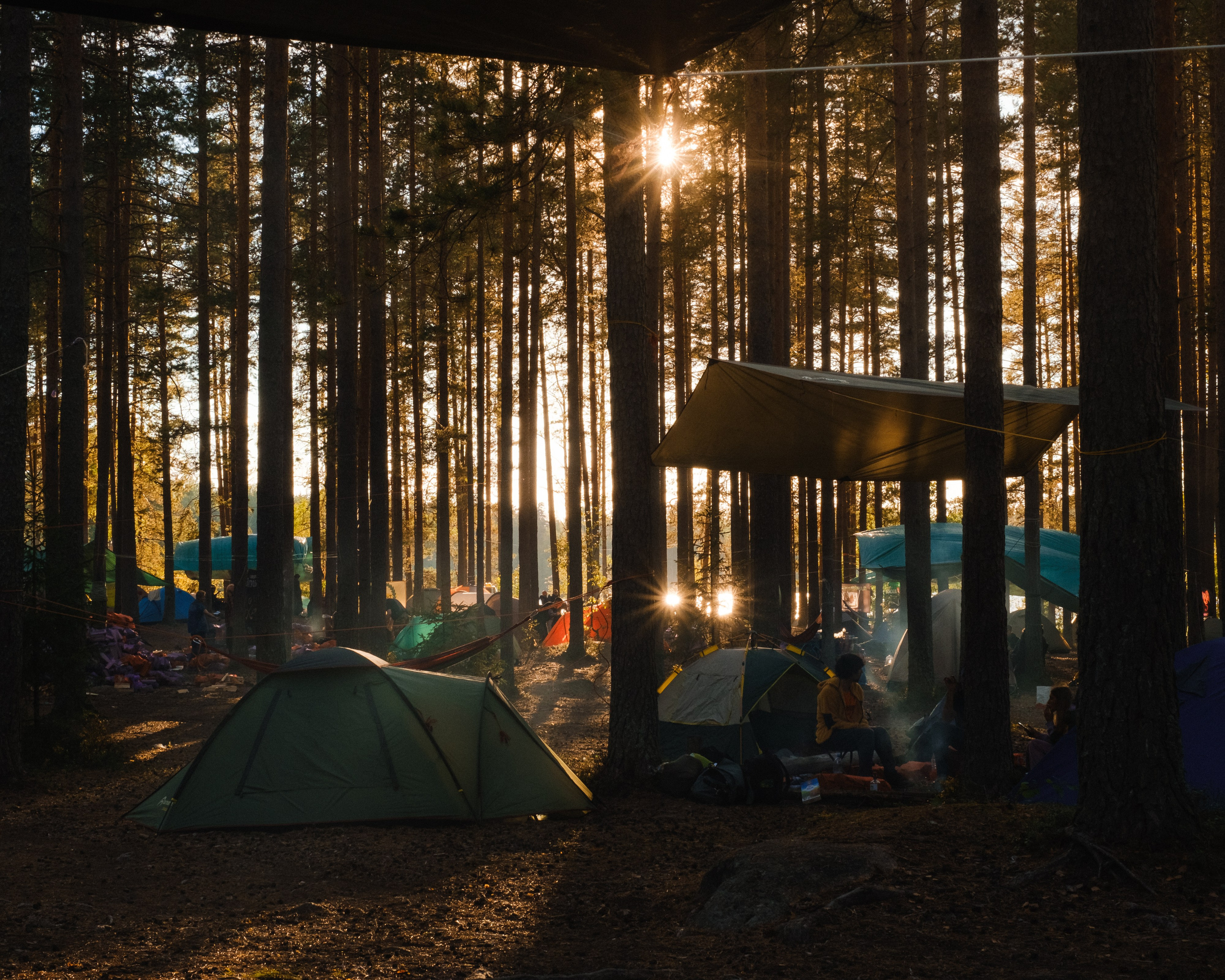 Осеннее заходское | 2024