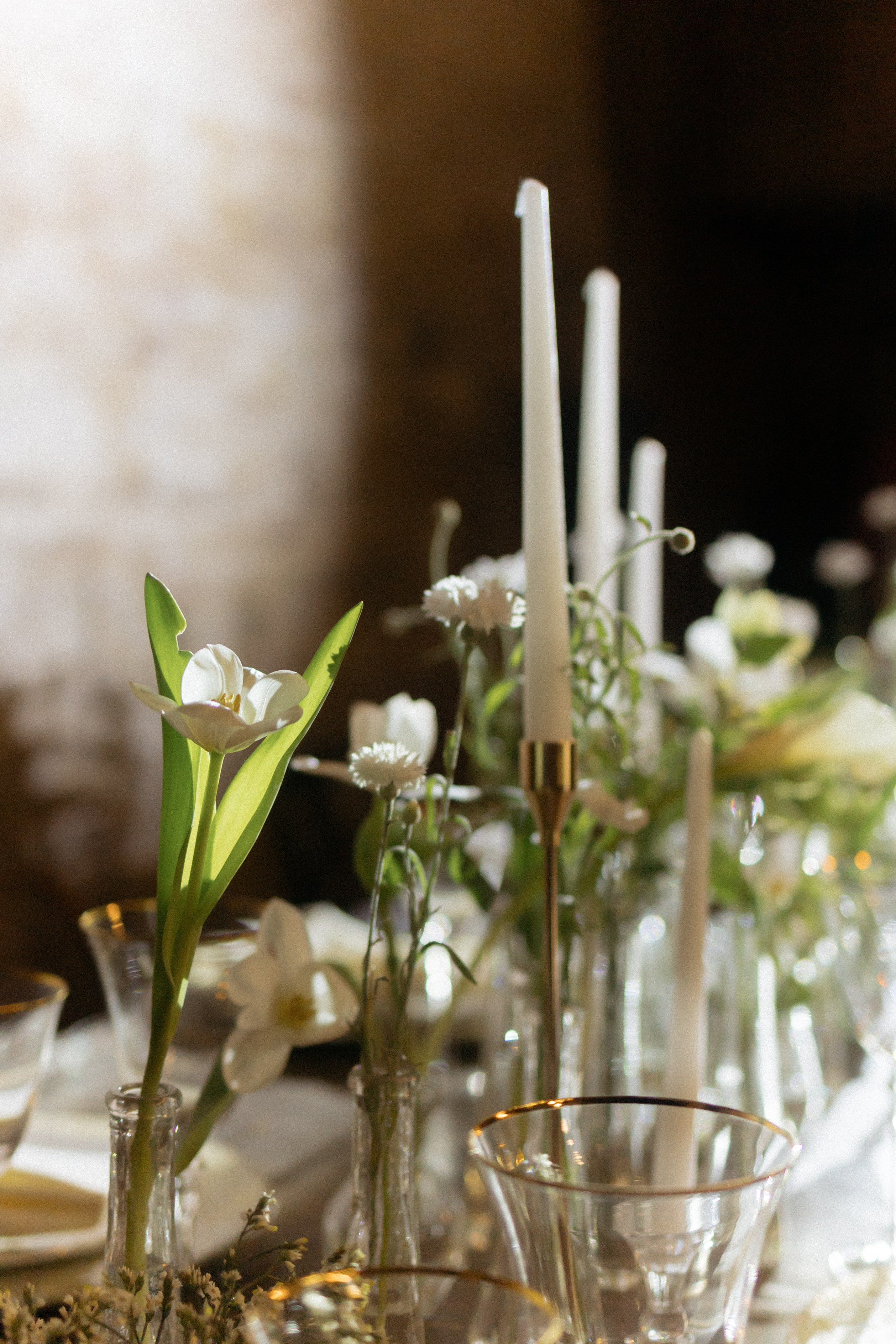 Ярослав & Эля. Фотограф Москва|Комиссарова Наталья