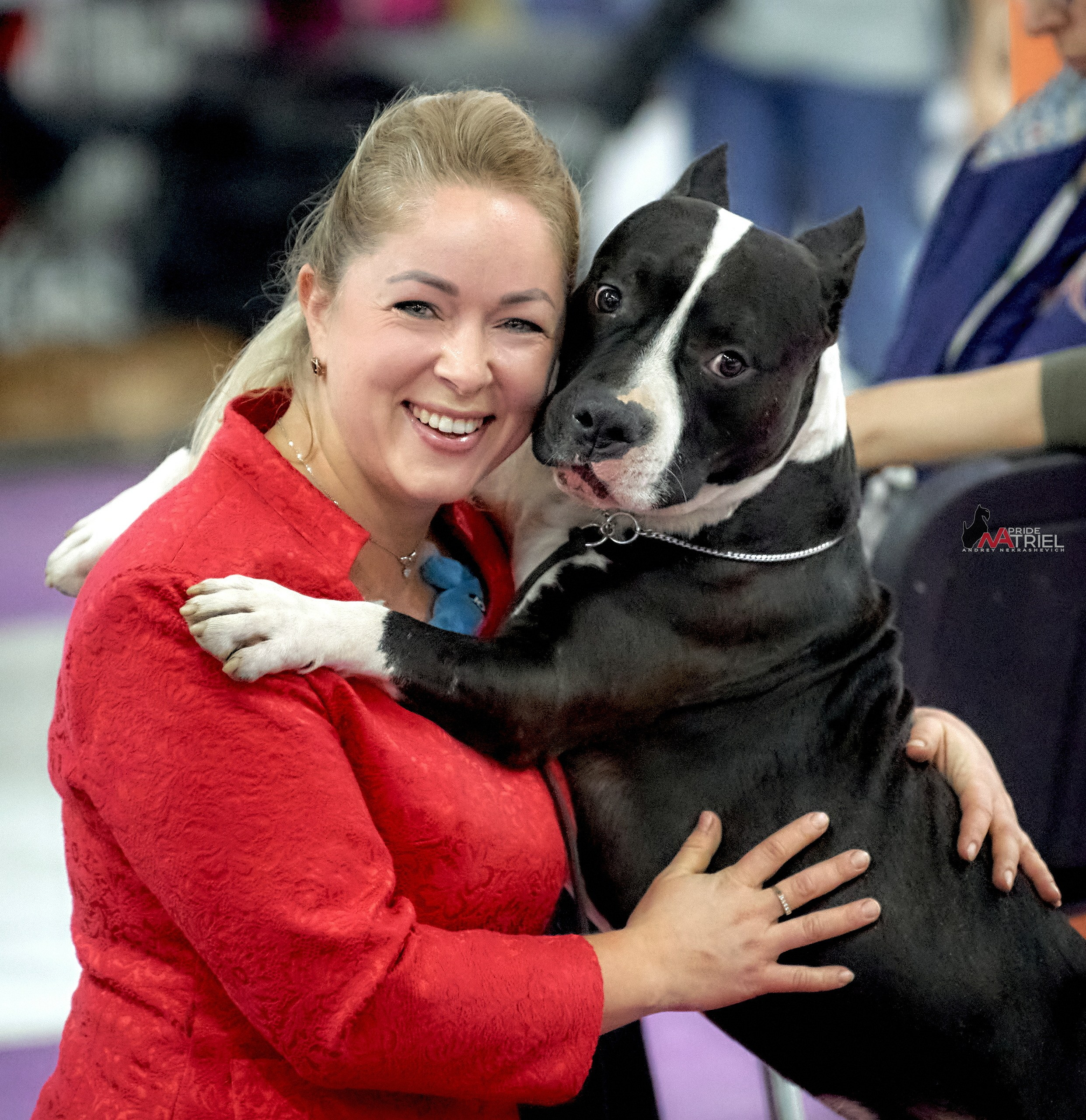 Работа в рингах — галерея NATRIEL