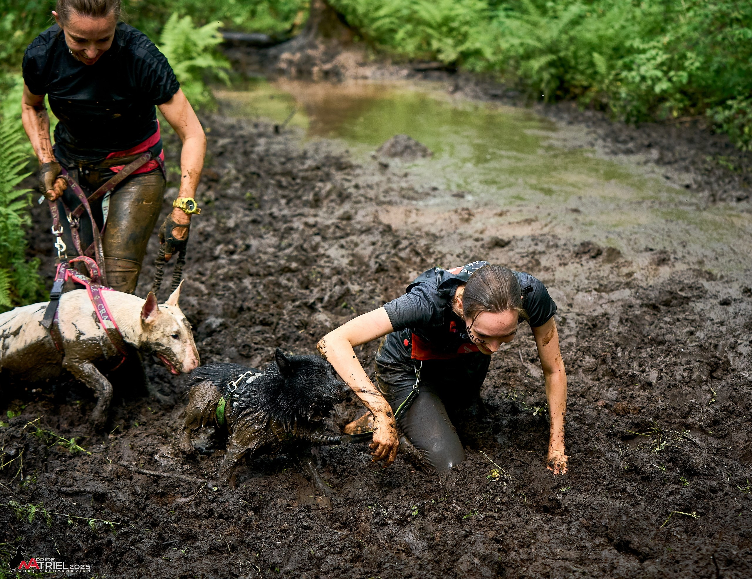 Russian Extreme Dog Trail — 2025