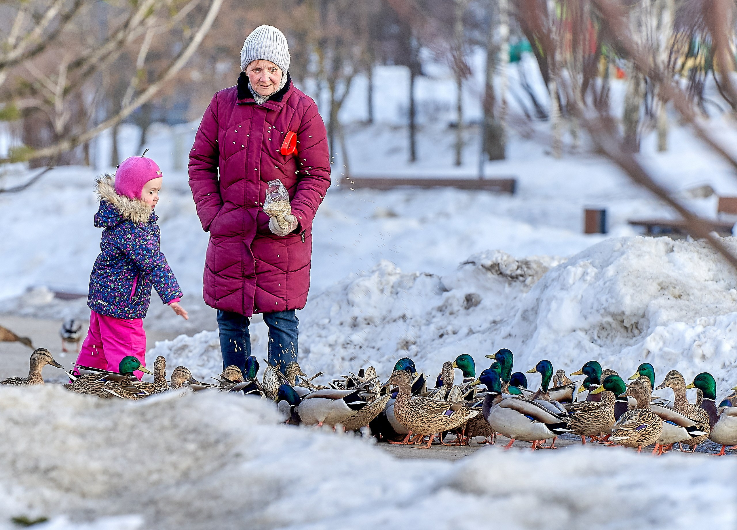 Стрит-фотография — галерея NATRIEL